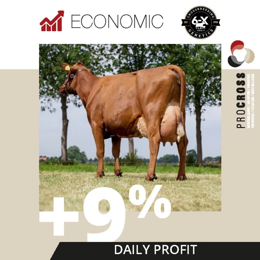 Every great business starts with a great foundation. 2.JPEG