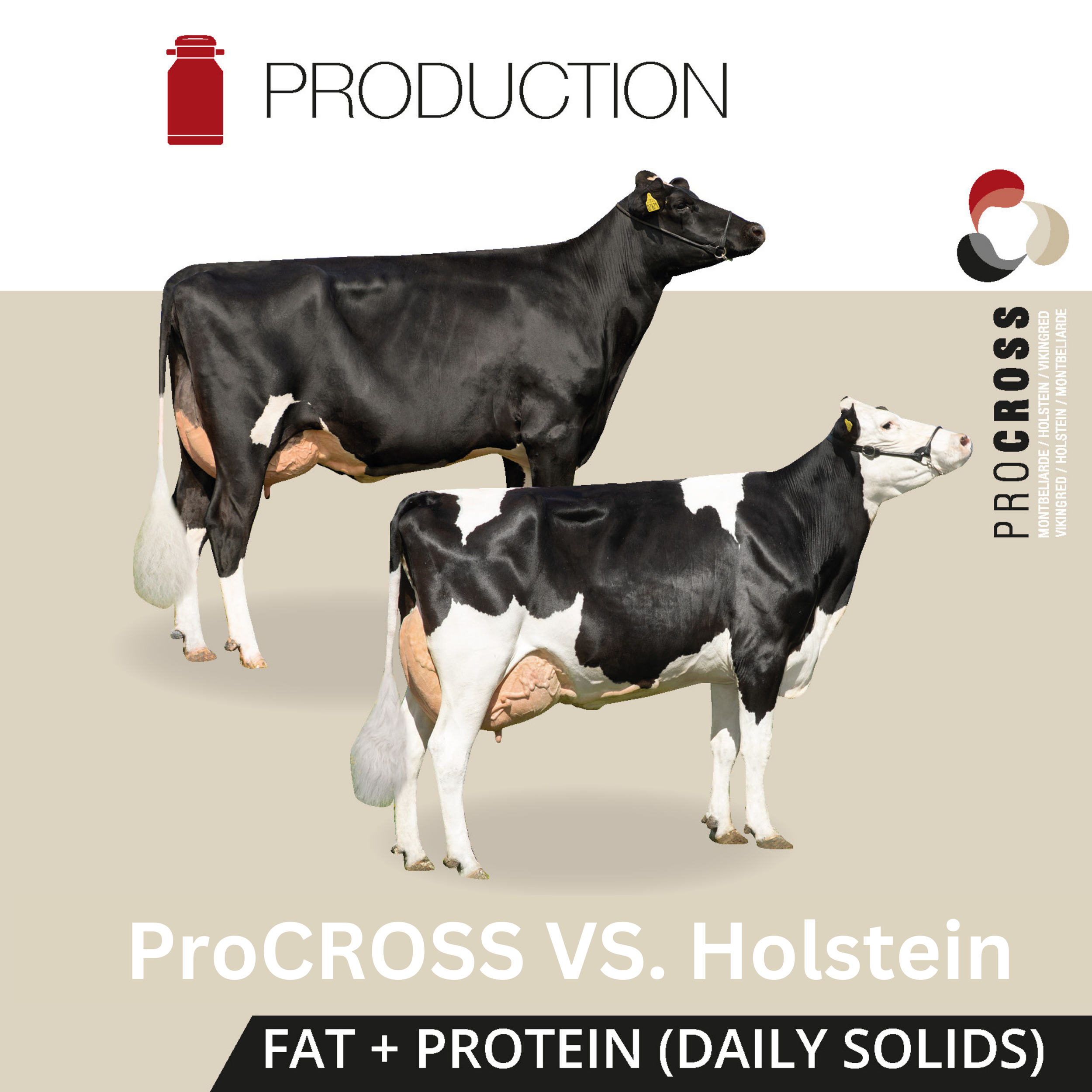 ProCROSS vs Holstein.png