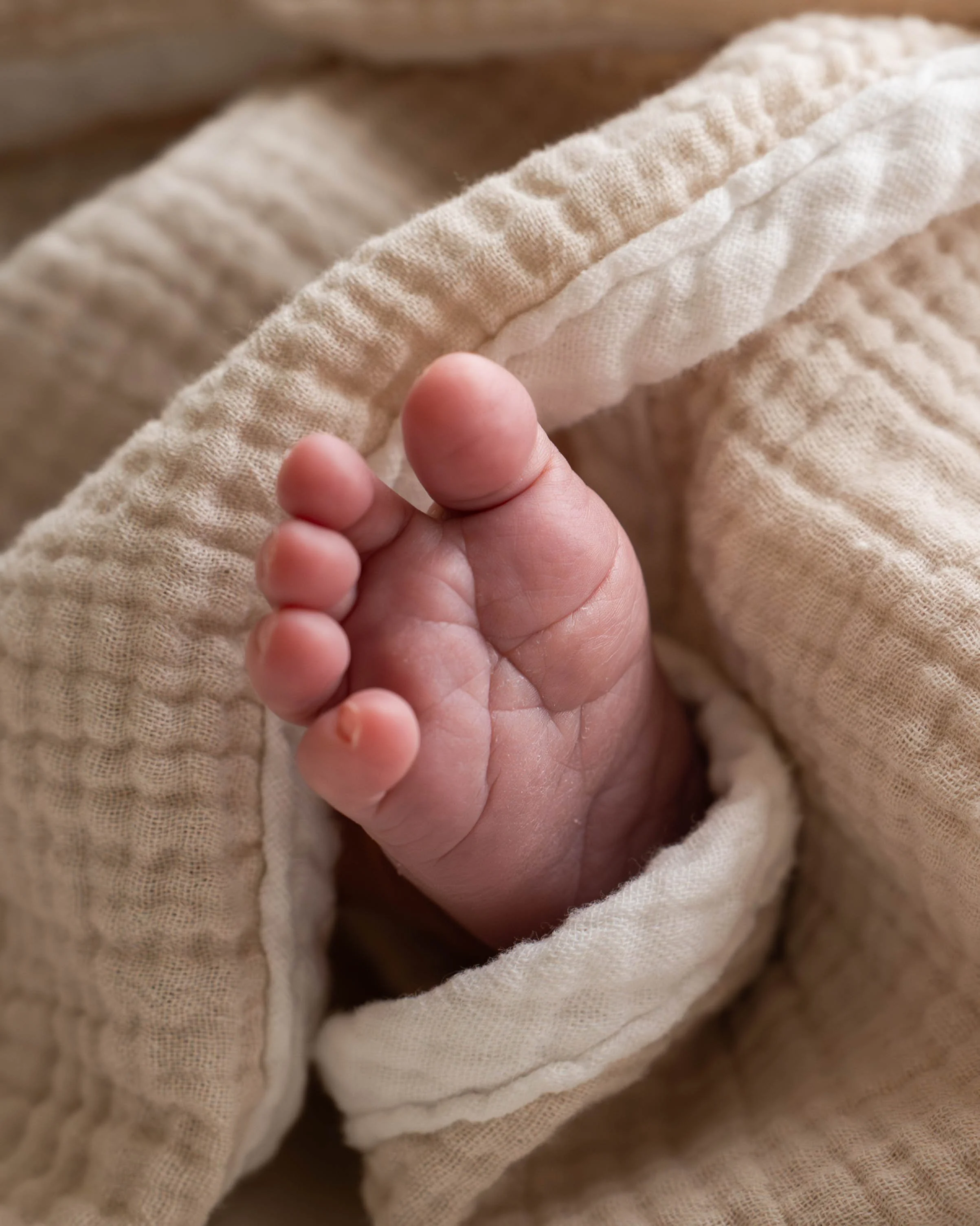 Lowe and Co Photography (62 of 118).jpg