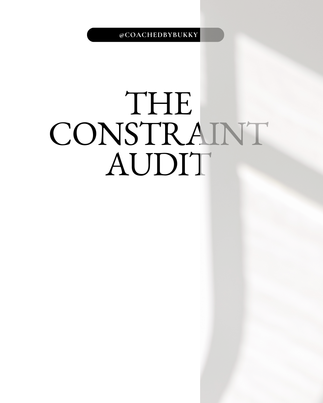 THE CONSTRAINT AUDIT