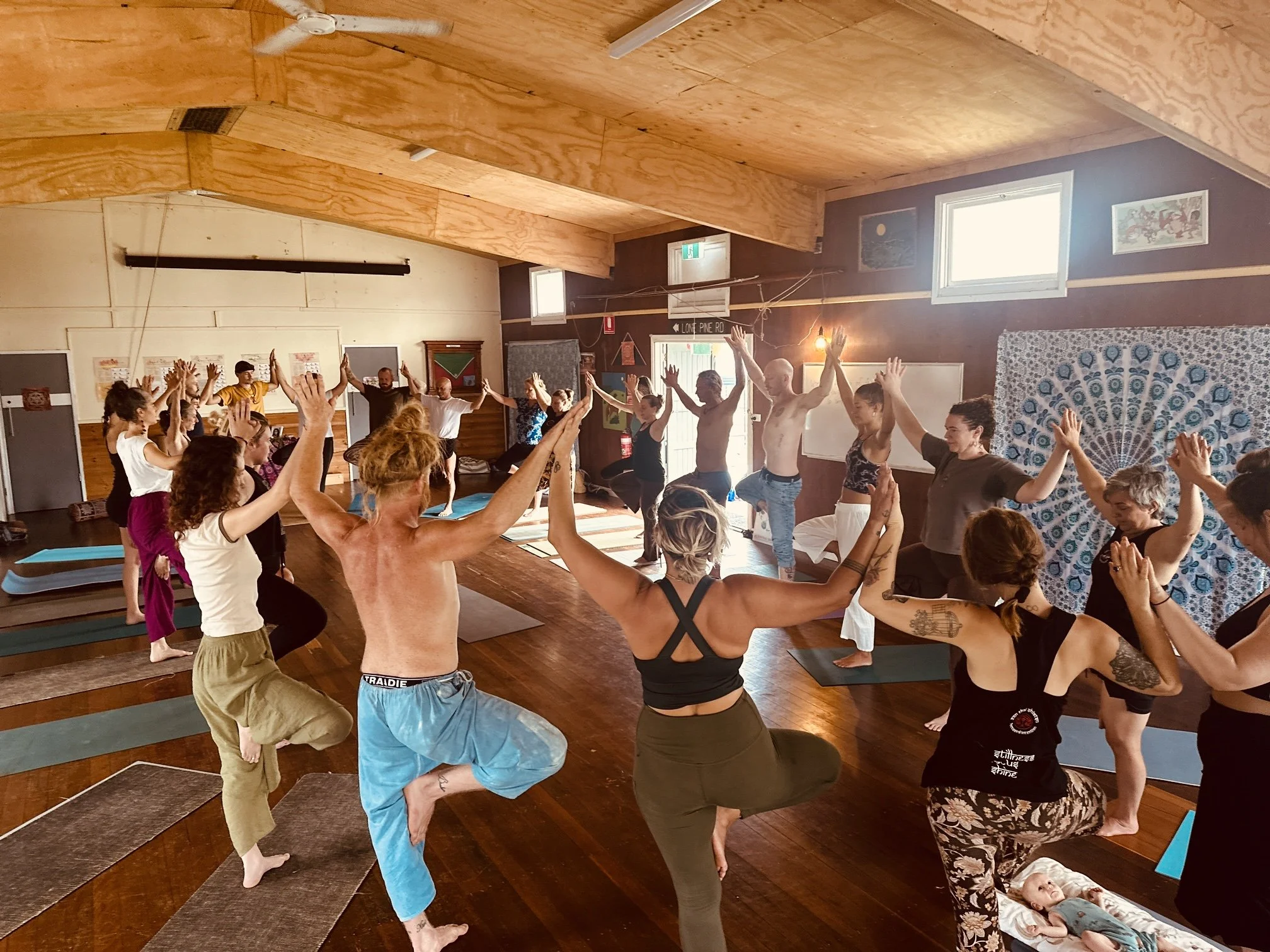 Zenthai Newcastle Workshop. Nourish your Liver, Nourish your Life