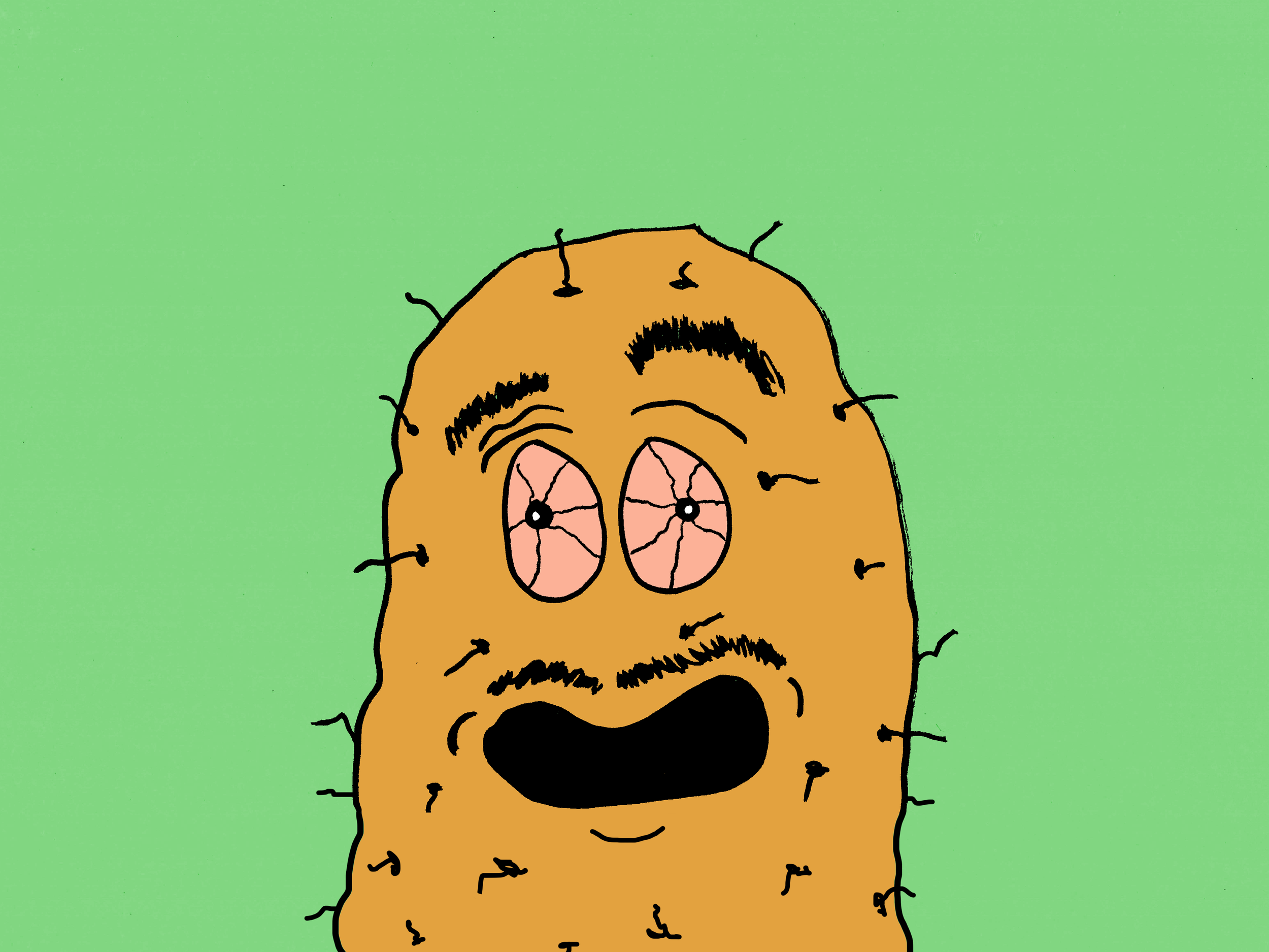 Garrett’s Chip Reviews