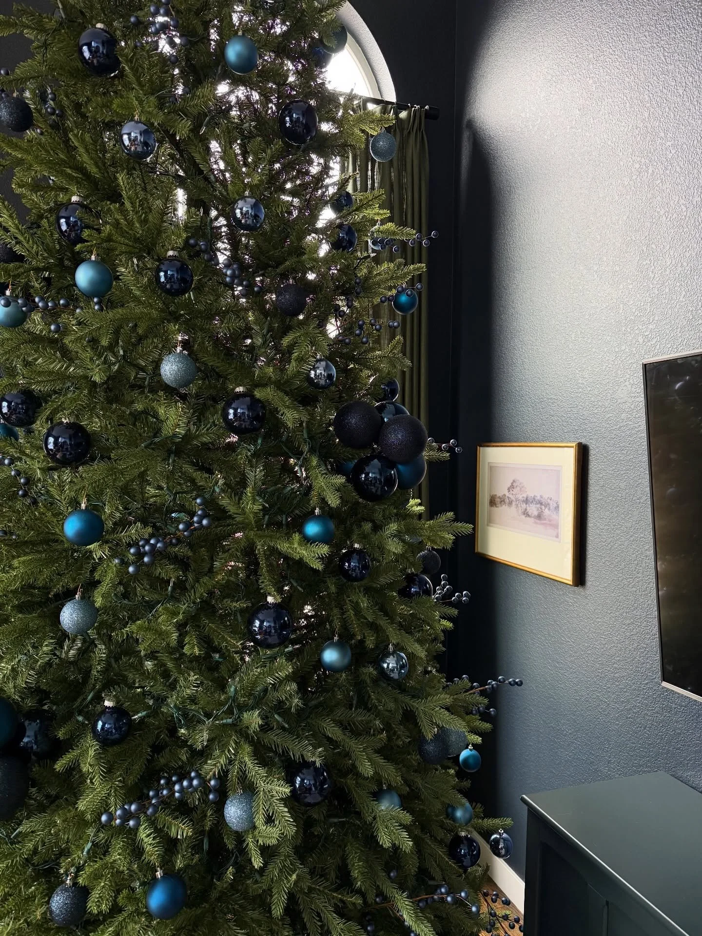 After painting my front room a deep dark blue I knew I wanted the Christmas tree to match. I wanted to keep the tree simple this year and let the 12 foot tree shine on her own 💙

#christmasdecorstills #12footchristmastree #kingofchristmas #monochrom