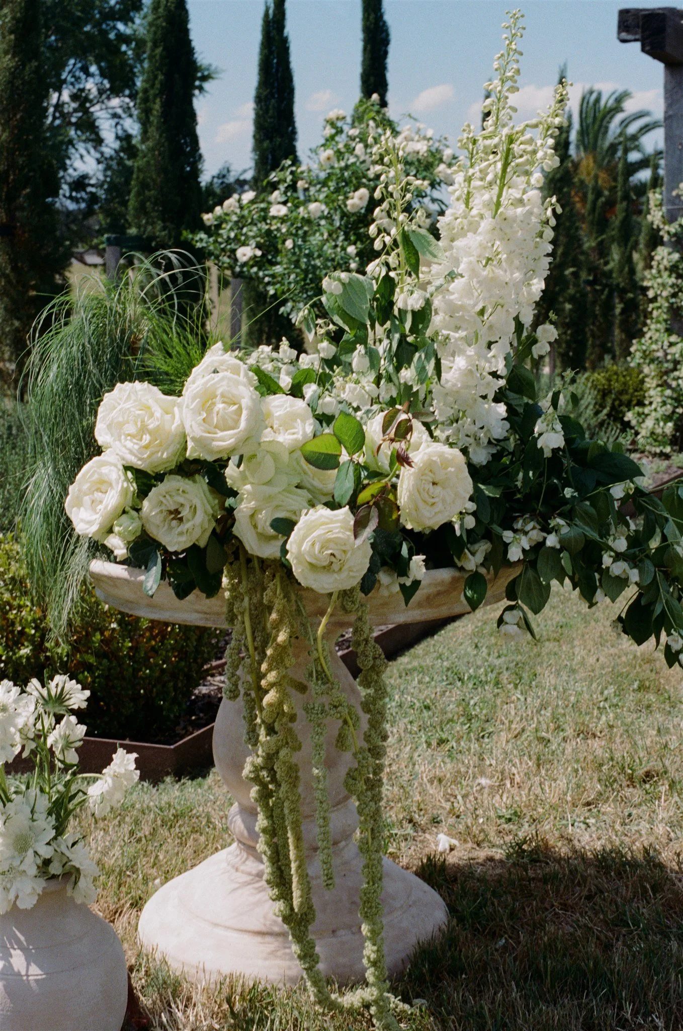 Jamika & Cam FILM-27.jpg