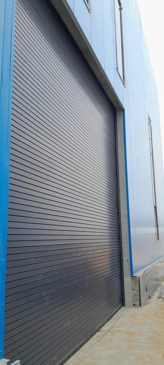 WhatsApp Image 2023-11-05 at 1.42.24 PM.jpeg