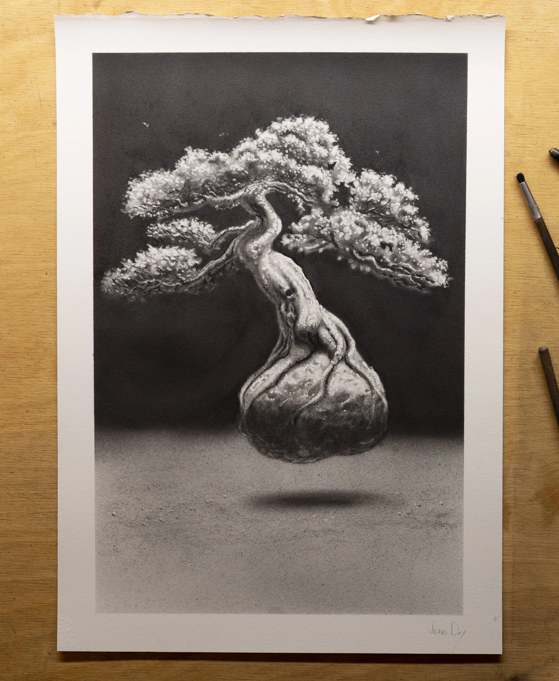Original Drawing - Tree & Rock