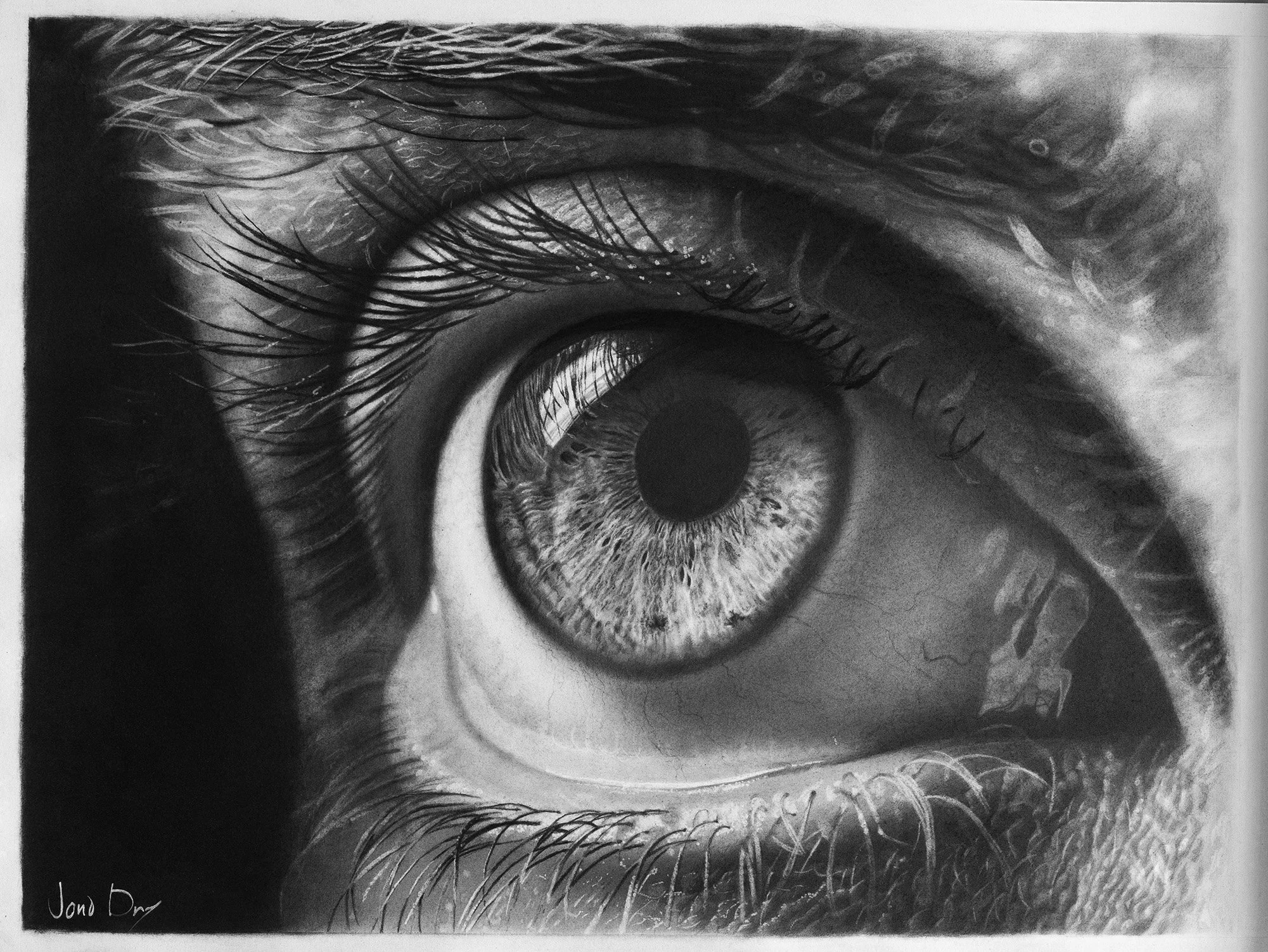 Eye+Study.png