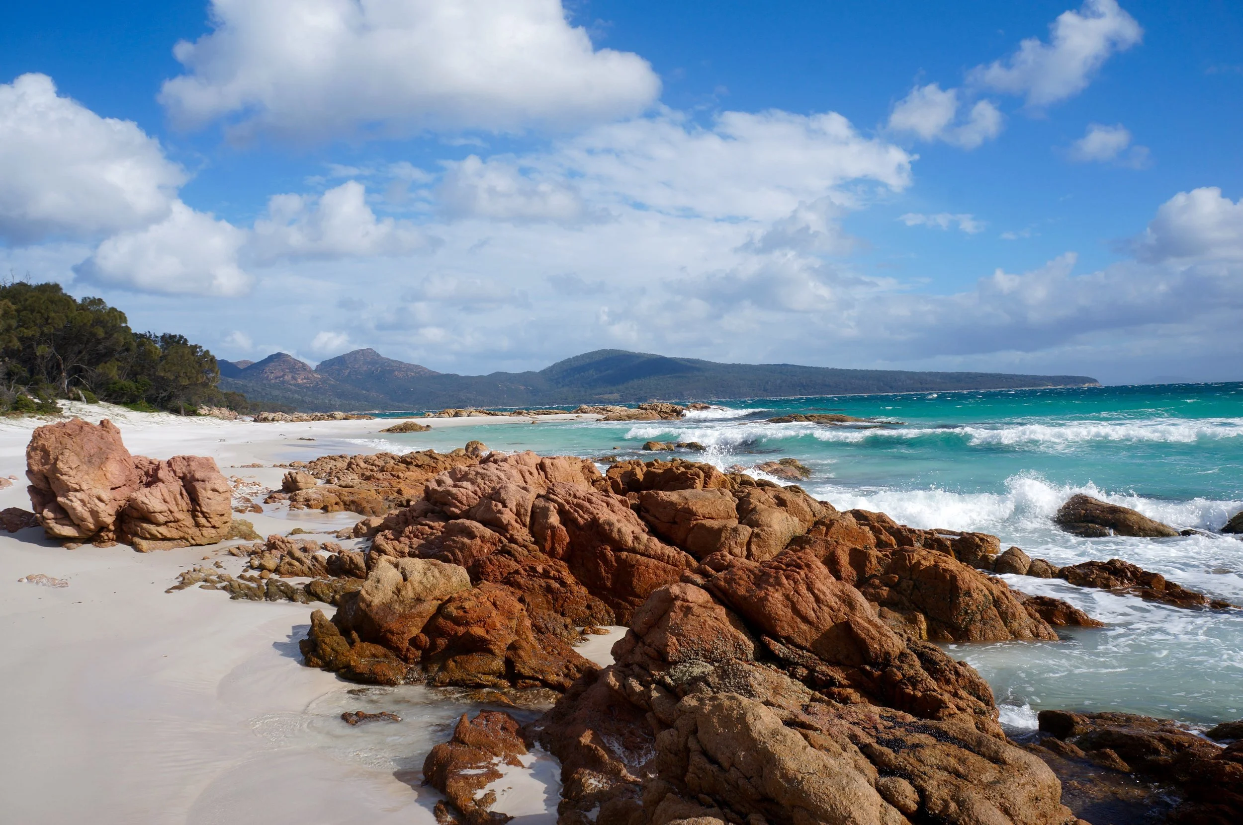 Een ode aan het ravotten