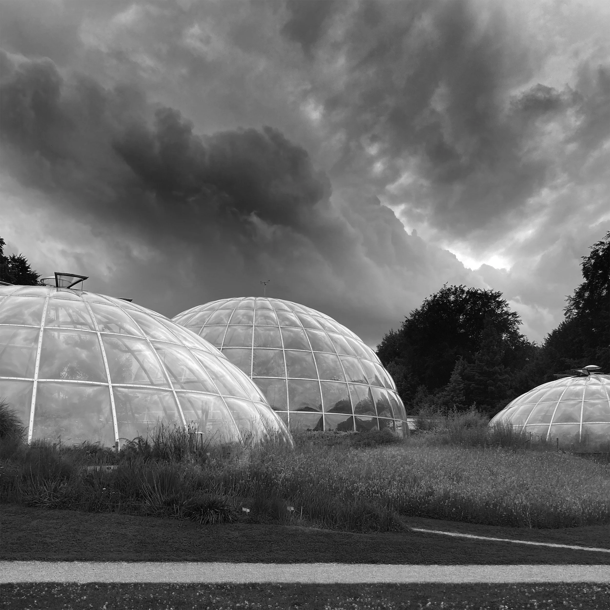 Heute wollte ich den botanischen Garten Zürich besuchen. Da wurde ich von drei Ufos entführt.