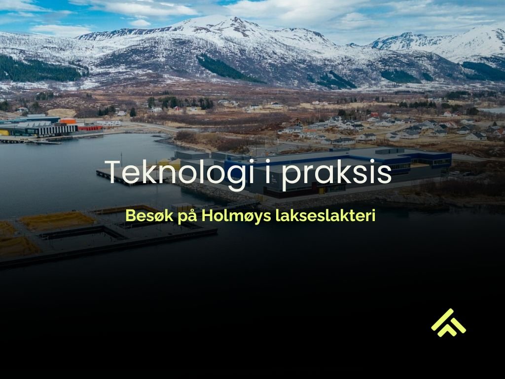 Teknologi i praksis