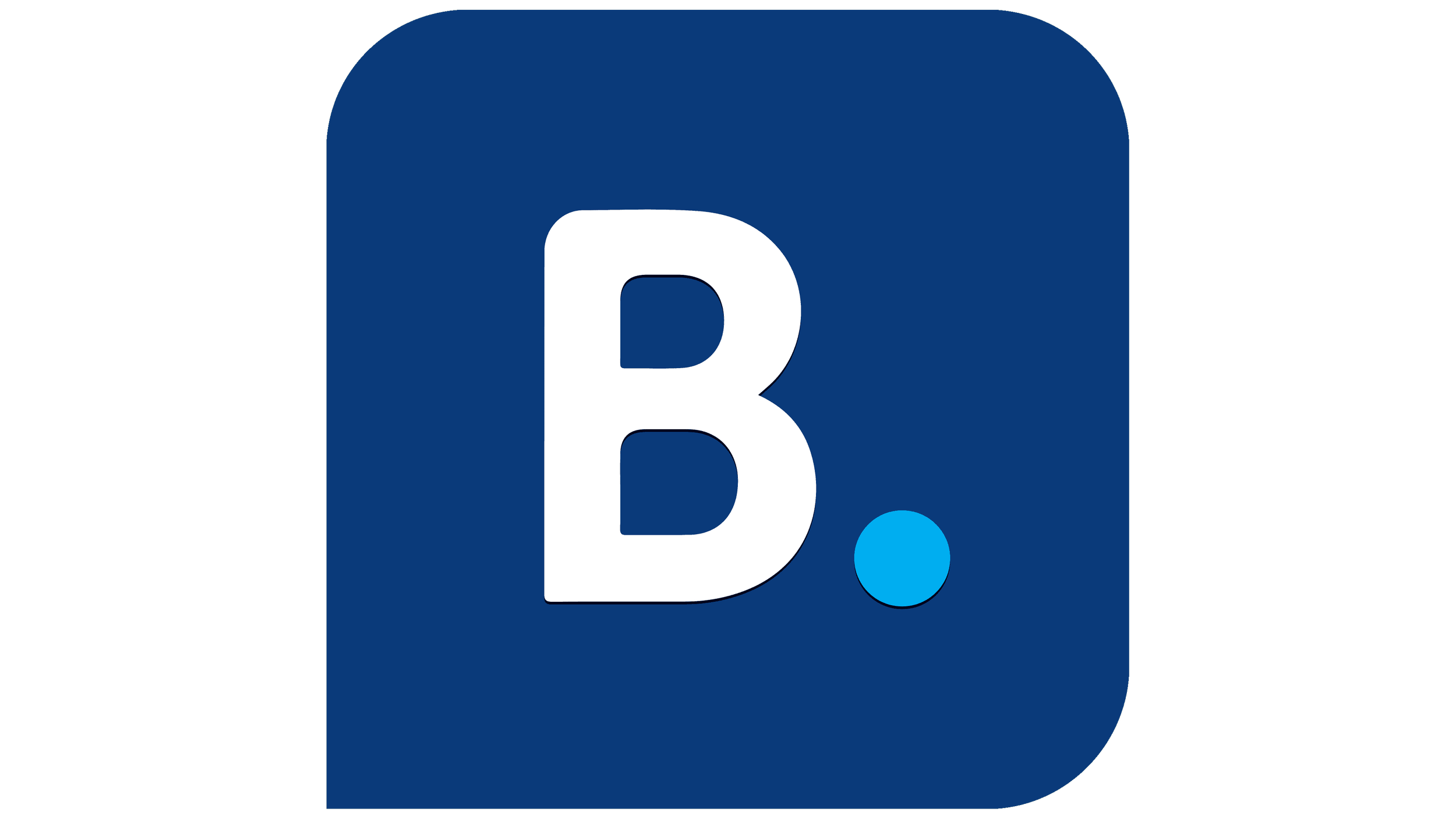 Booking_Logo_PNG(10).png