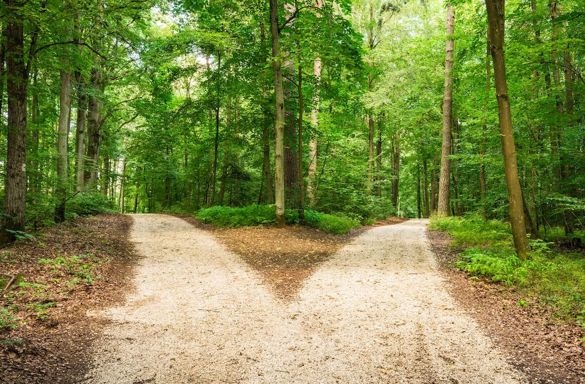 Understanding ADHD Pathways