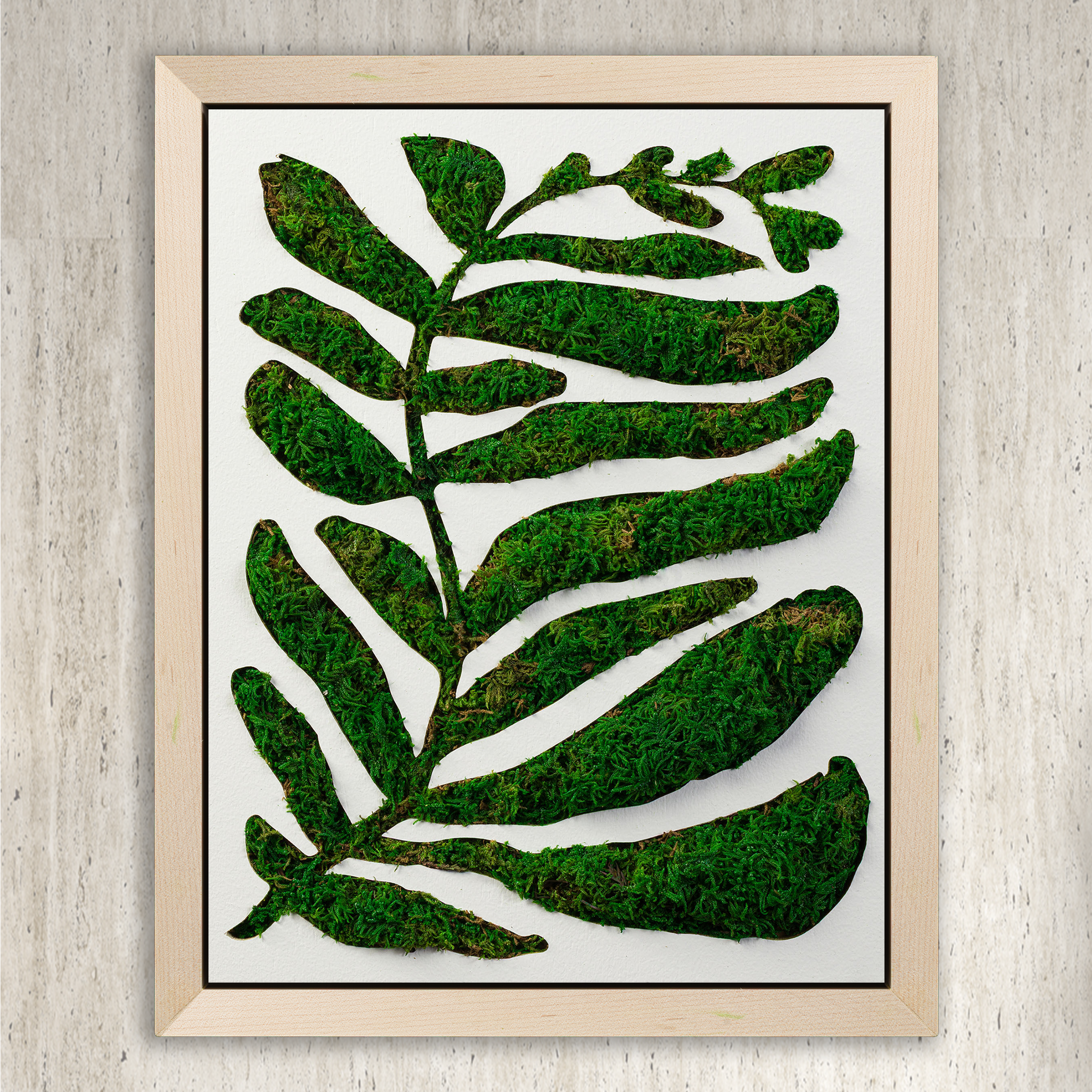 High Speed Tranquility