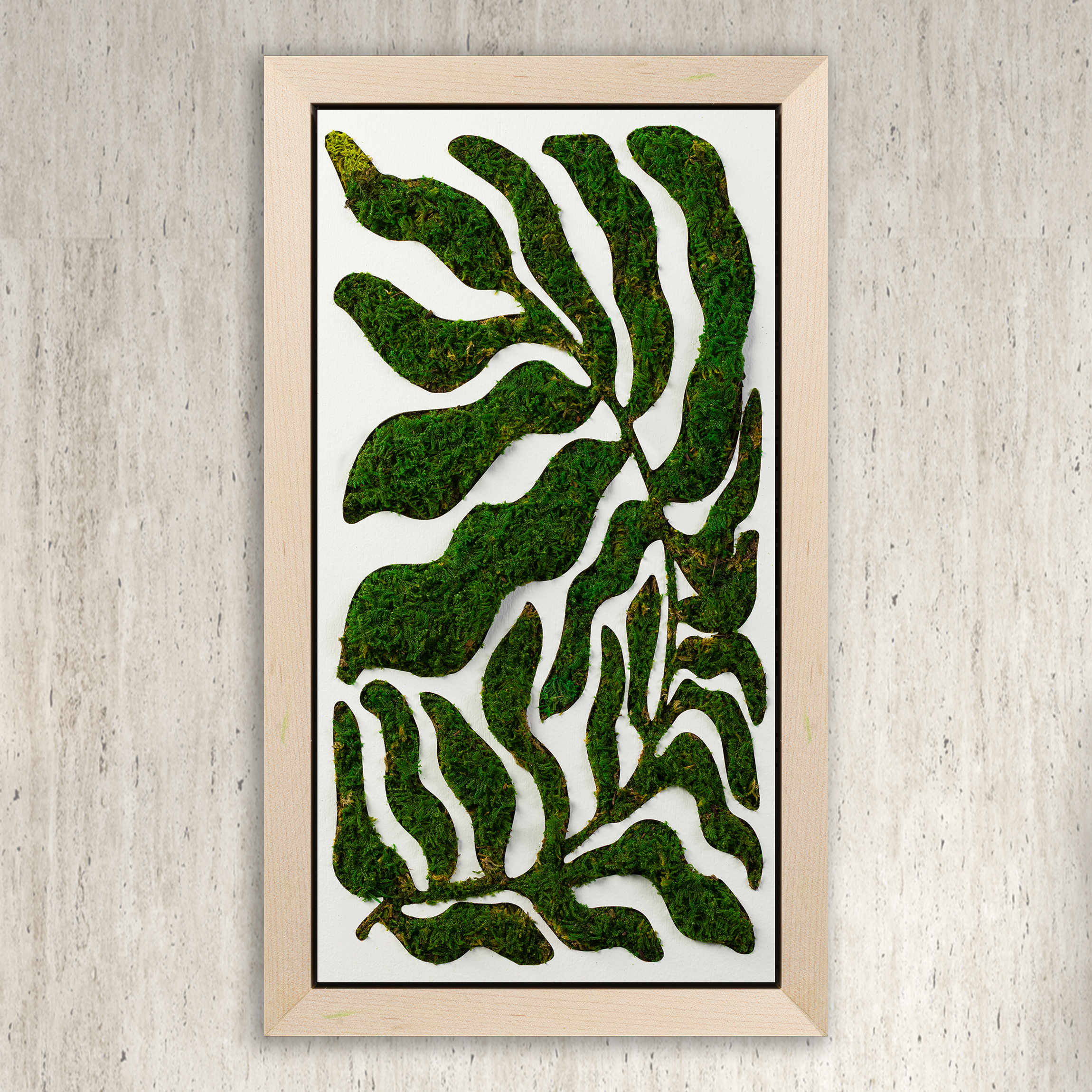 Calm Before the Vibe