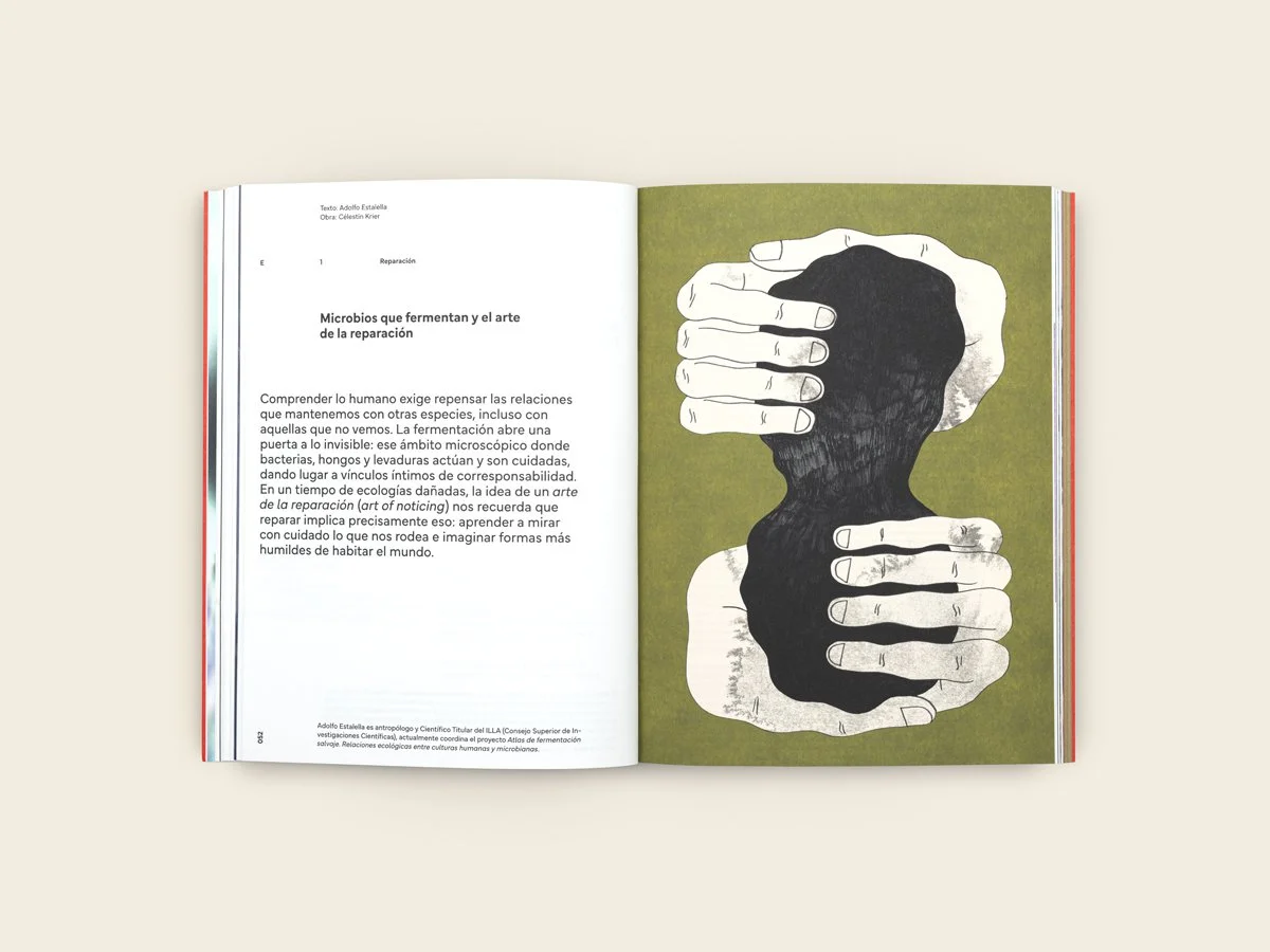 revista_calicata_numero_2_10_1200x900.jpg