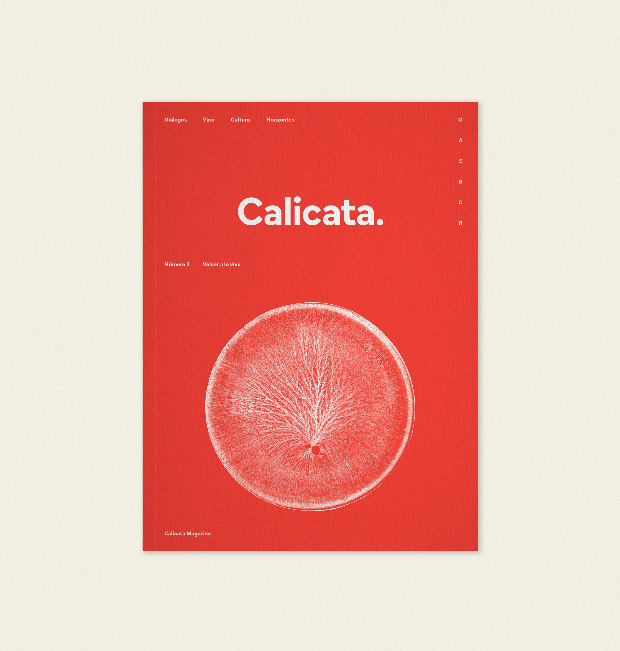 Calicata2_Mockup_Cover.png