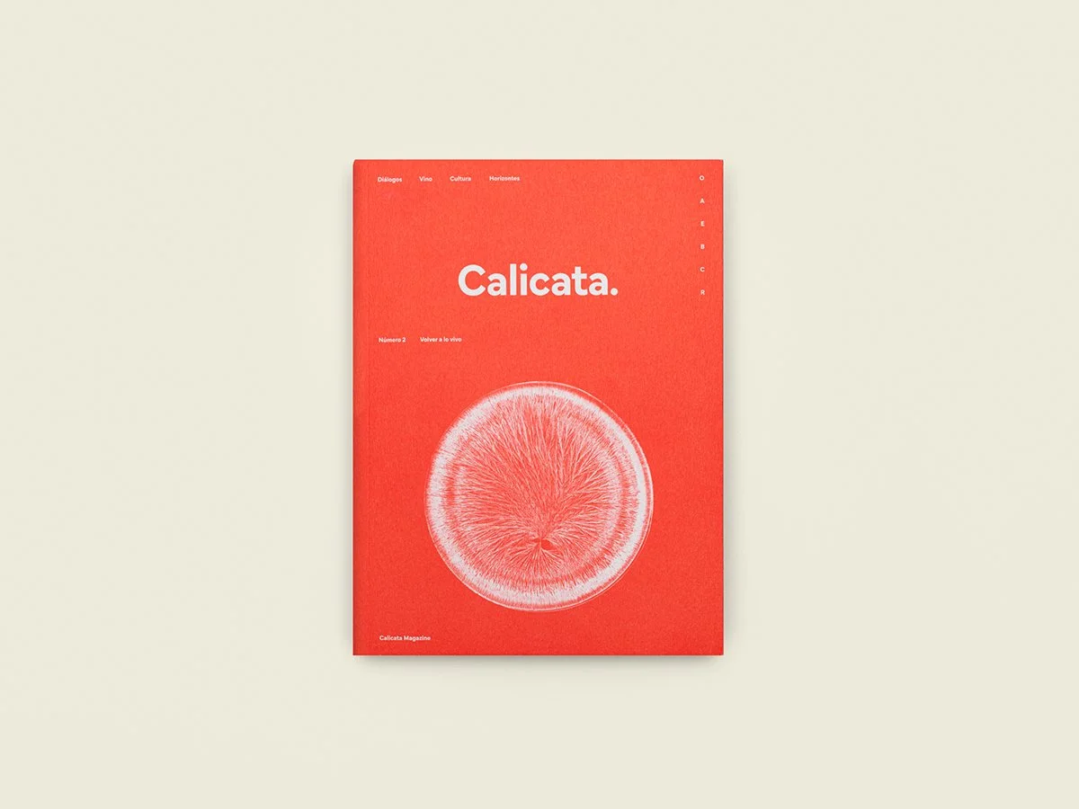 revista_calicata_numero_2_02_1200x900.jpg