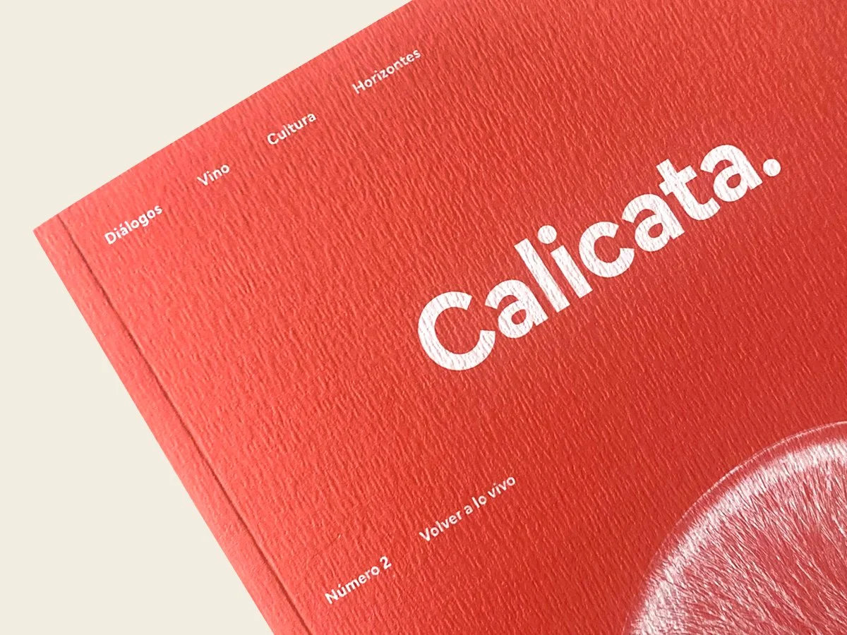 revista_calicata_numero_2_04_detalle_1200x900.jpg