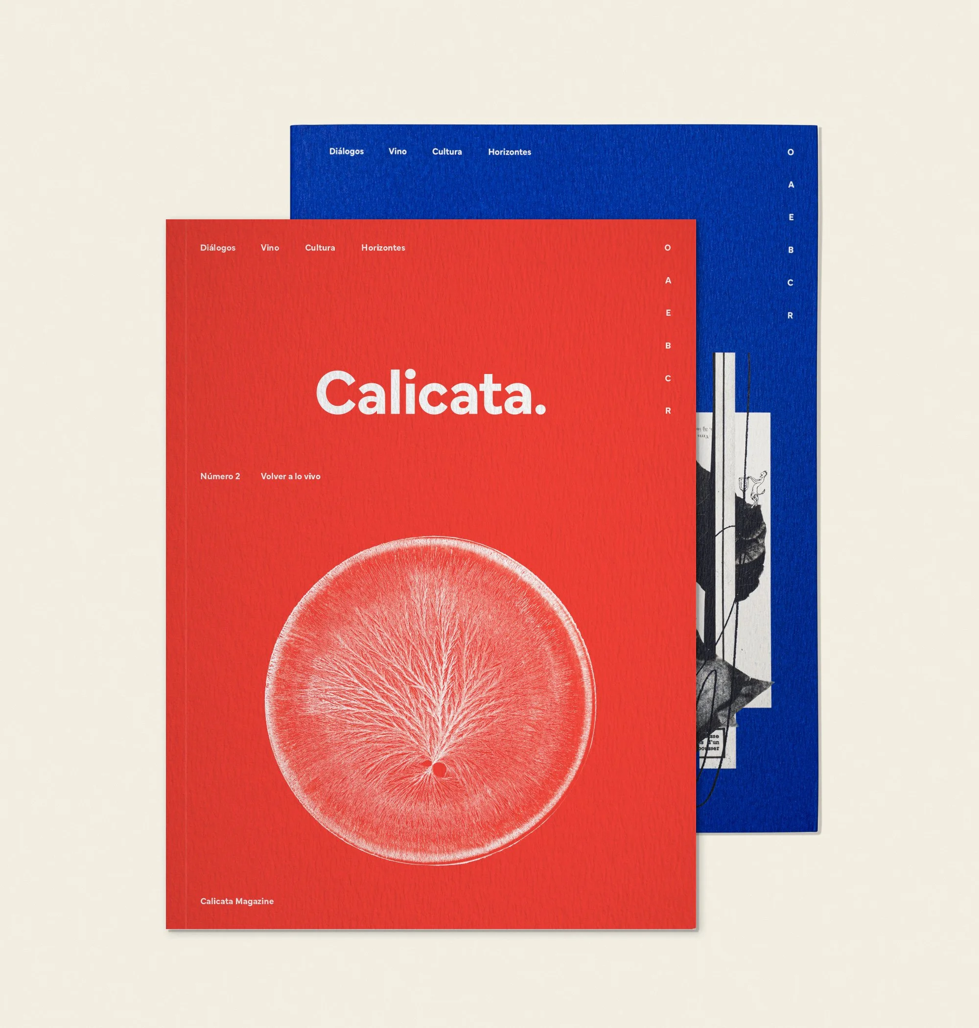 Edición Doble Calicata