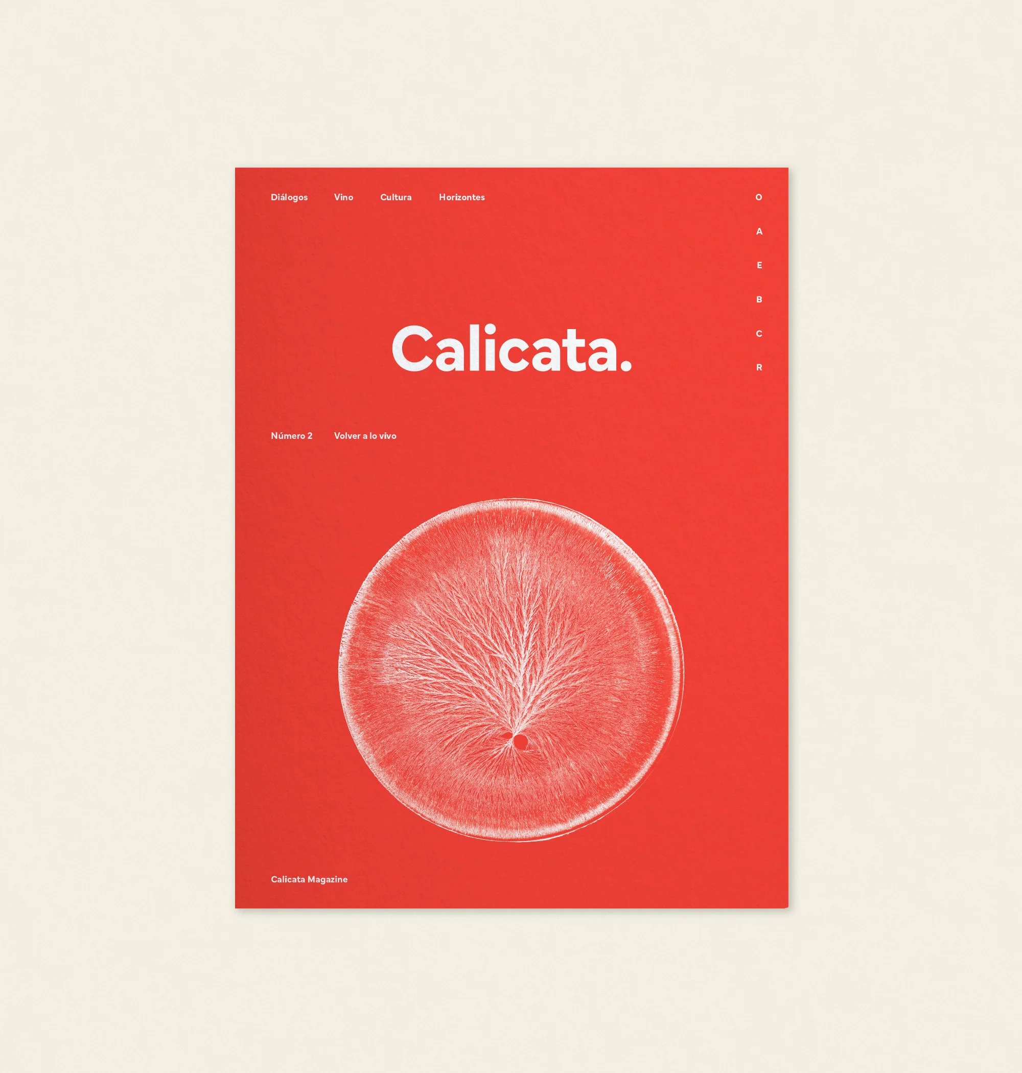 Calicata_2_Mockup_Cover_R1.jpg