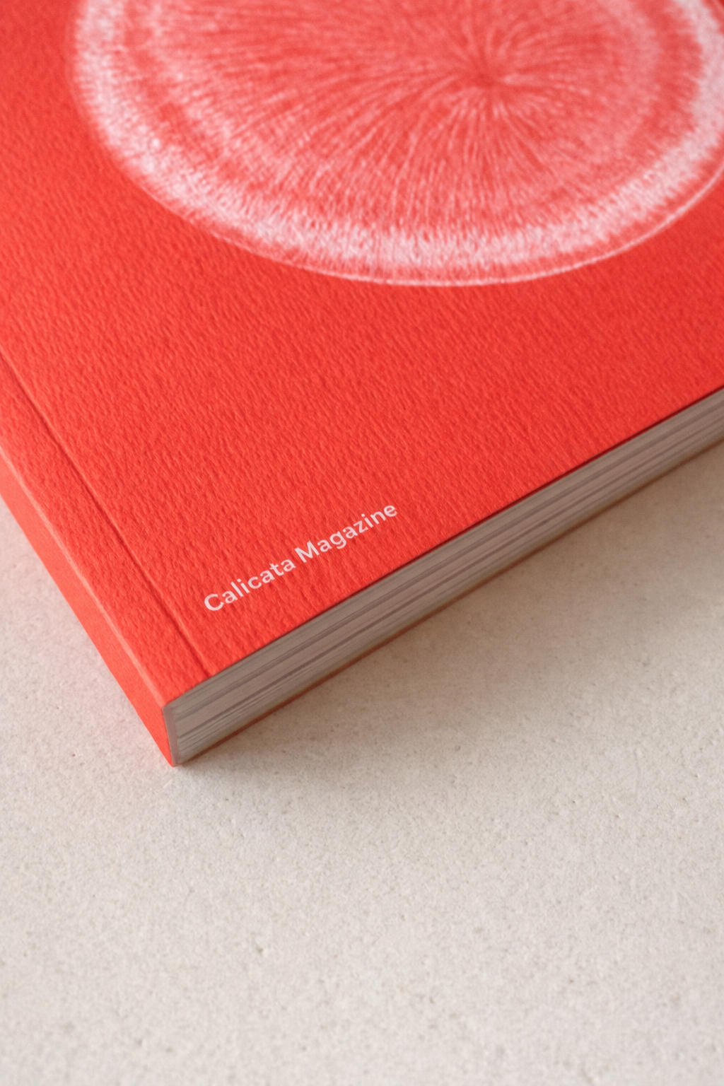 ChatGPT Image 27 mar 2026, 18_43_39.png