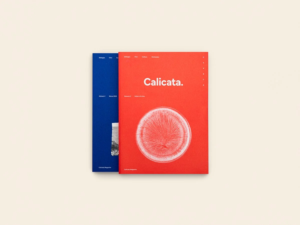 revista_calicata_numero_2_05_1200x900.jpg