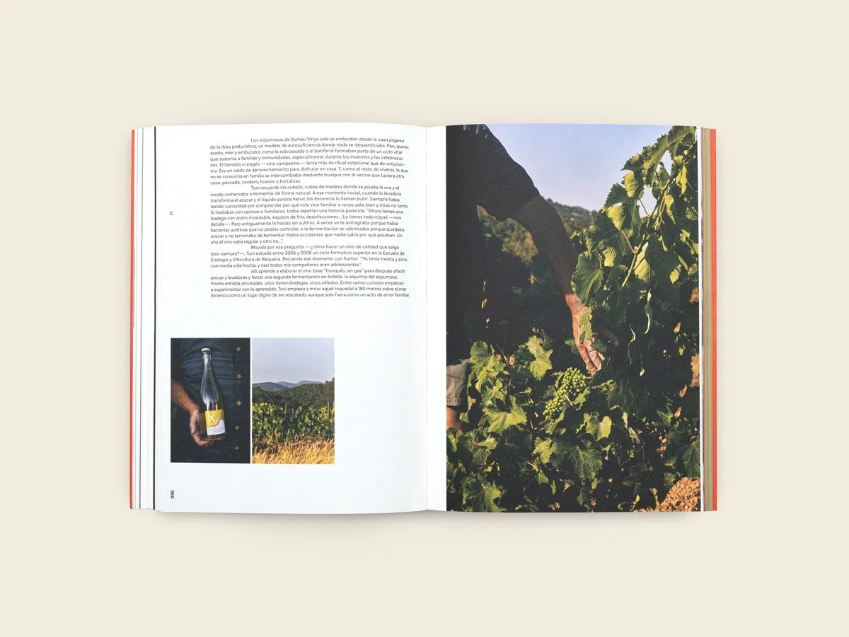 revista_calicata_numero_2_13_1200x900.jpg