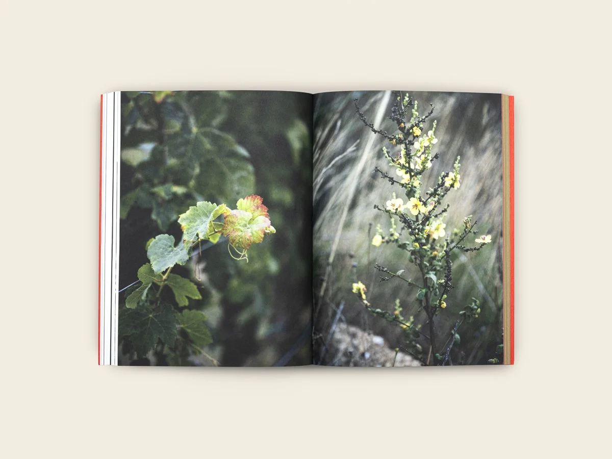 revista_calicata_numero_2_15_1200x900.jpg