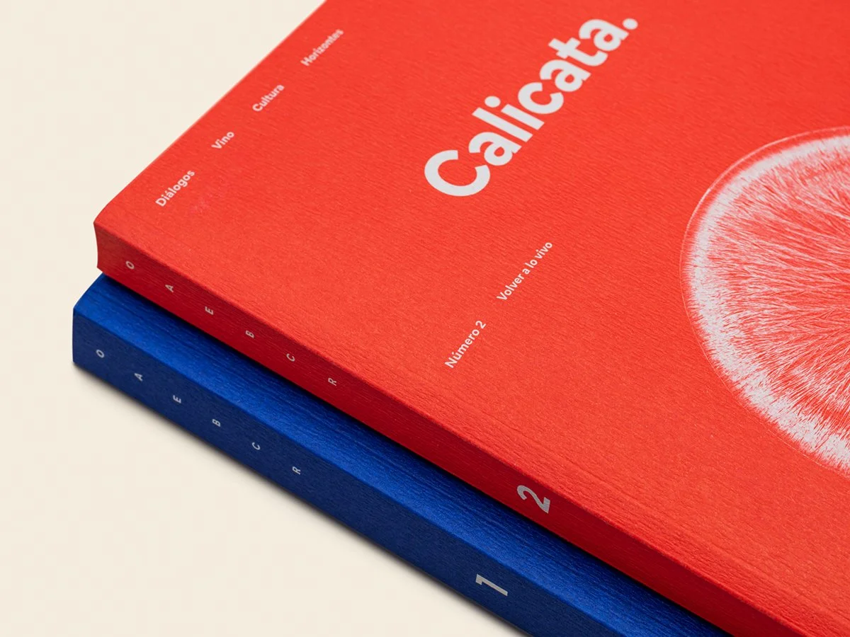 revista_calicata_numero_2_06_1200x900.jpg