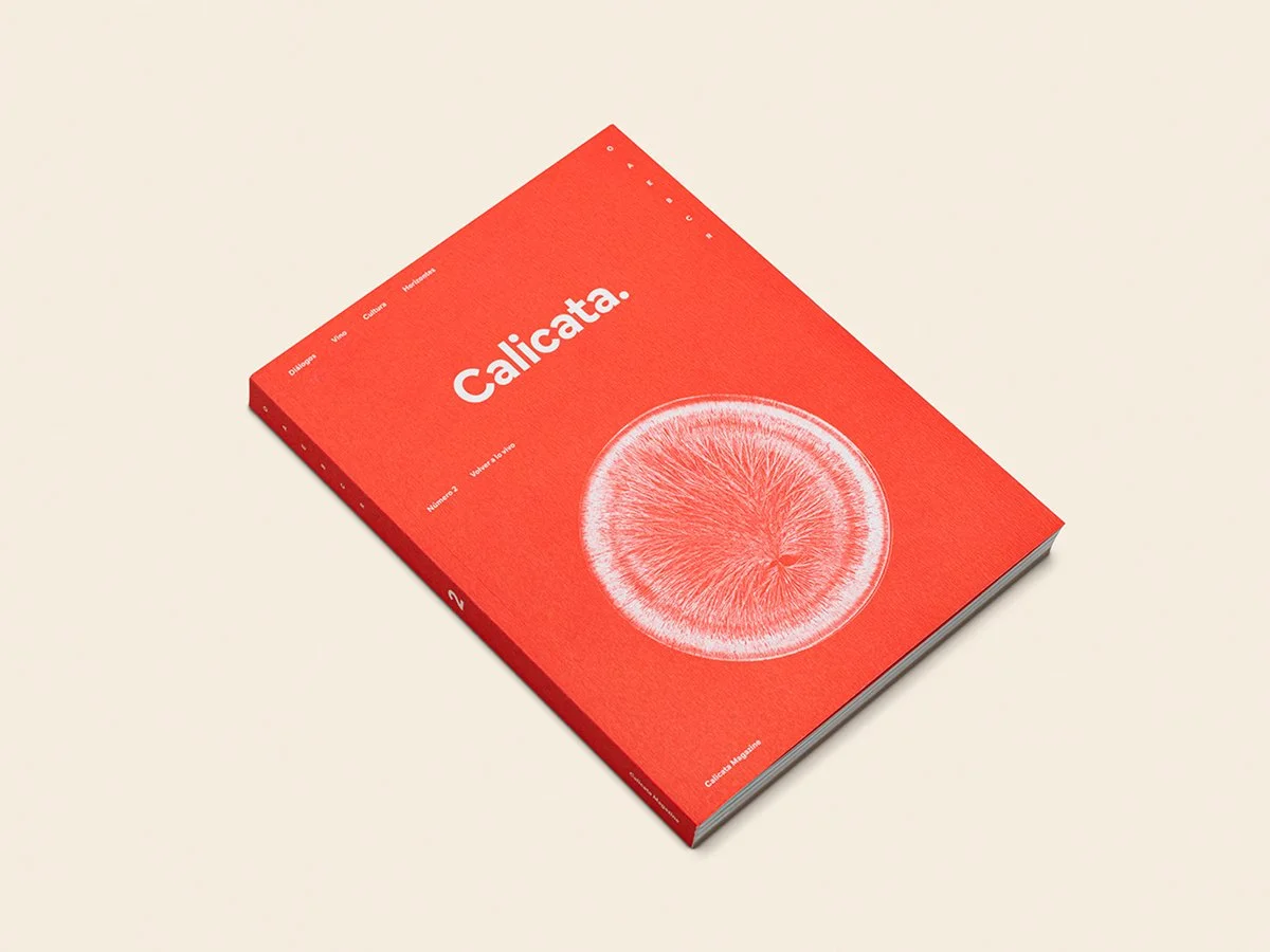 revista_calicata_numero_2_04_1200x900.jpg