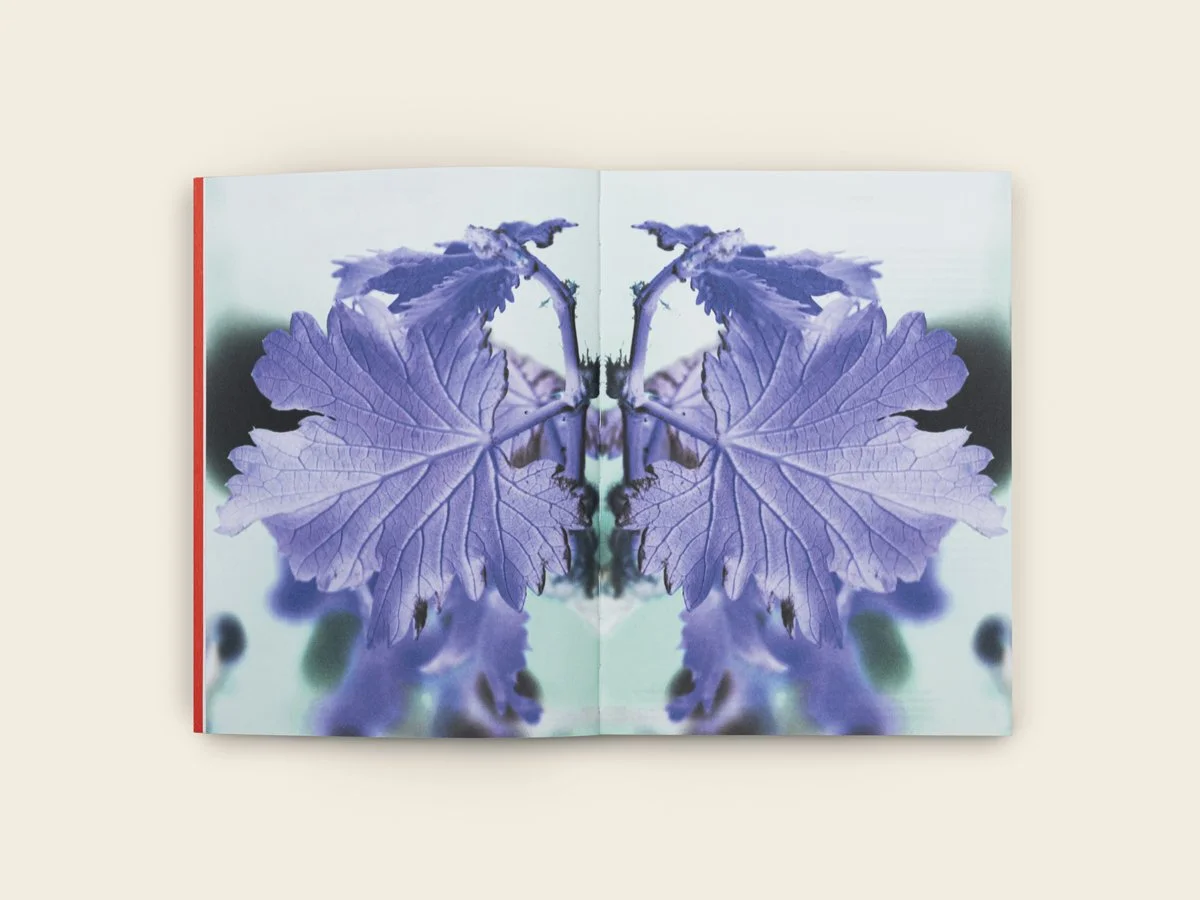 revista_calicata_numero_2_07_1200x900.jpg