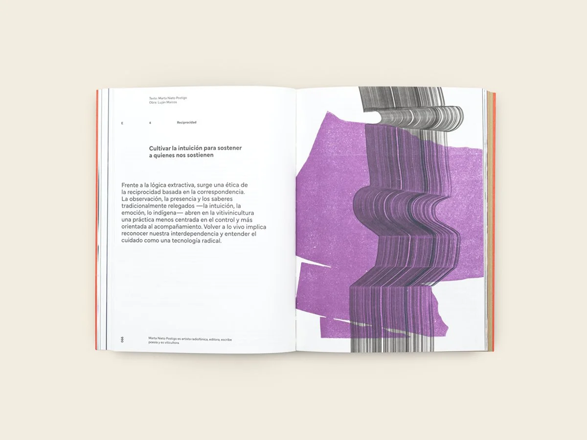 revista_calicata_numero_2_12_1200x900.jpg