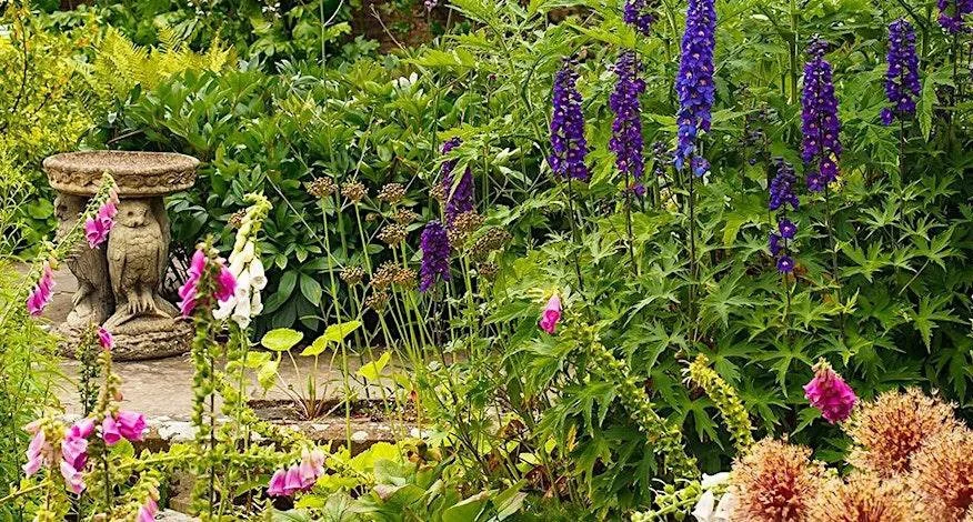 Seeing the now: Mindful photography