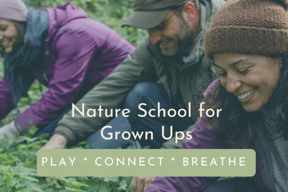 Nature school for grownups