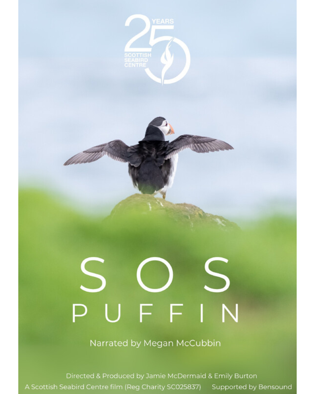 SOS Puffin.png