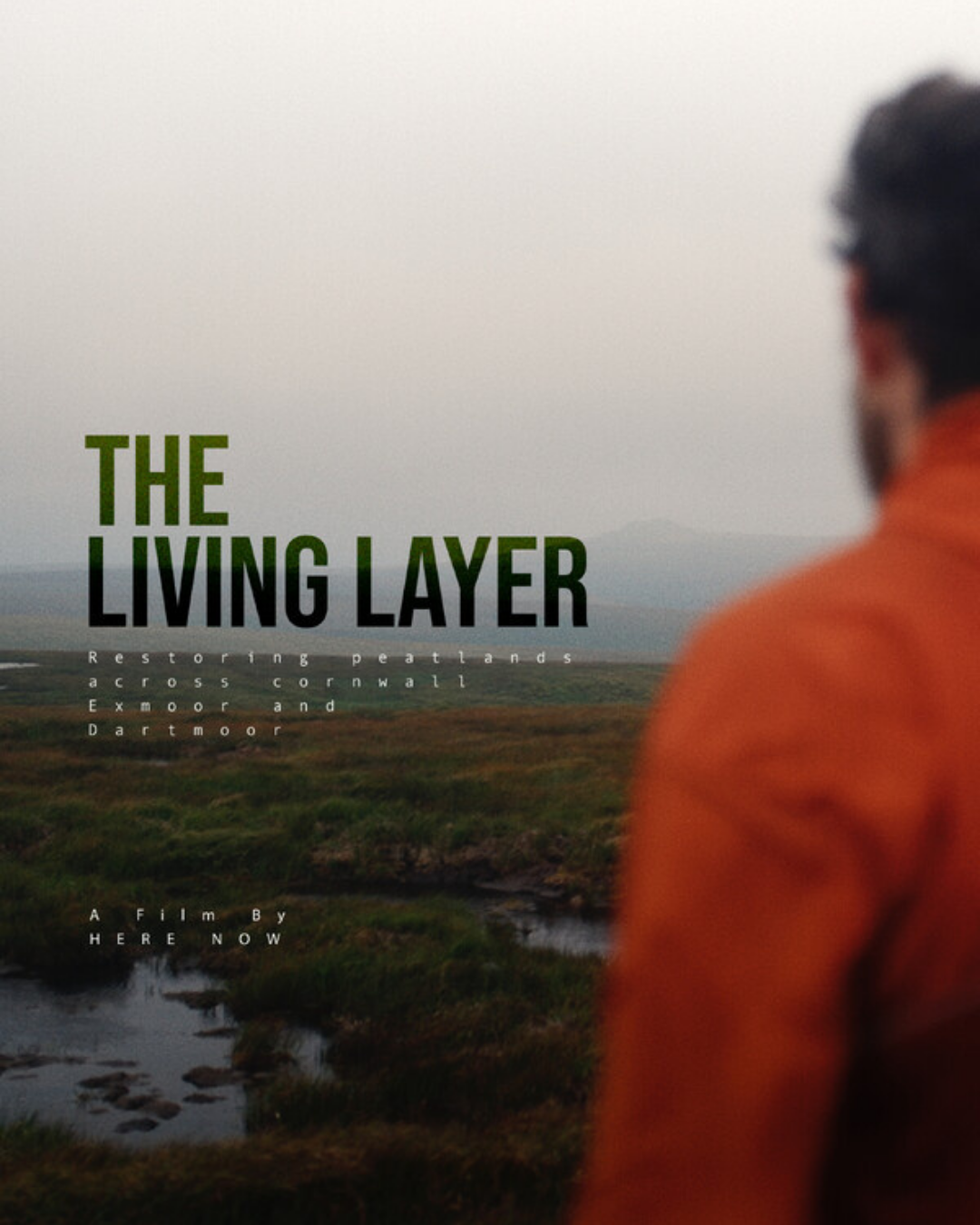 The Living Layer.png