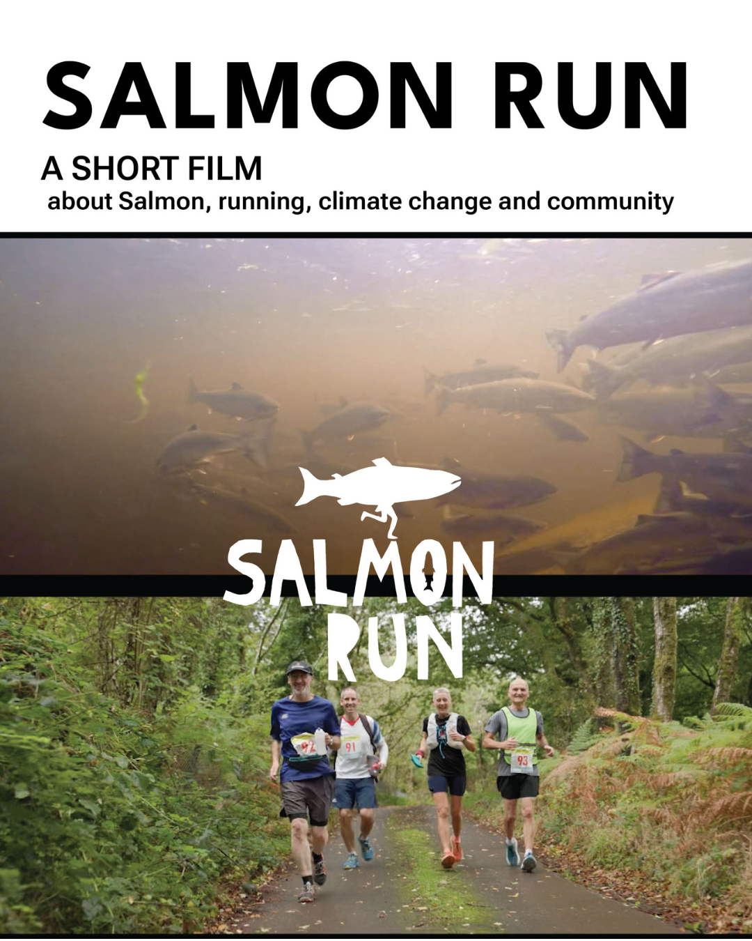 Salmon Run.png