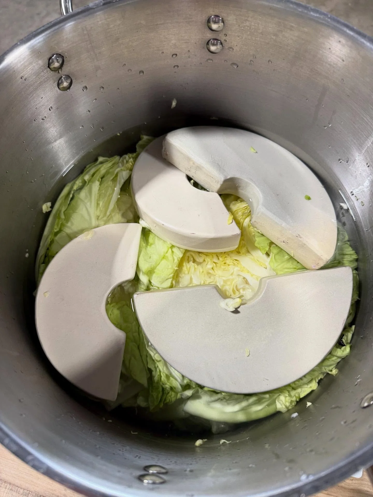 We were gifted a gorgeous Savoy cabbage from our friend (thanks Bobby K). The first step in kimchi is salting or brining the cabbage. We like the brine method. Fermented foods not only taste great but they are good for your gut too!  #kimchi #ferment