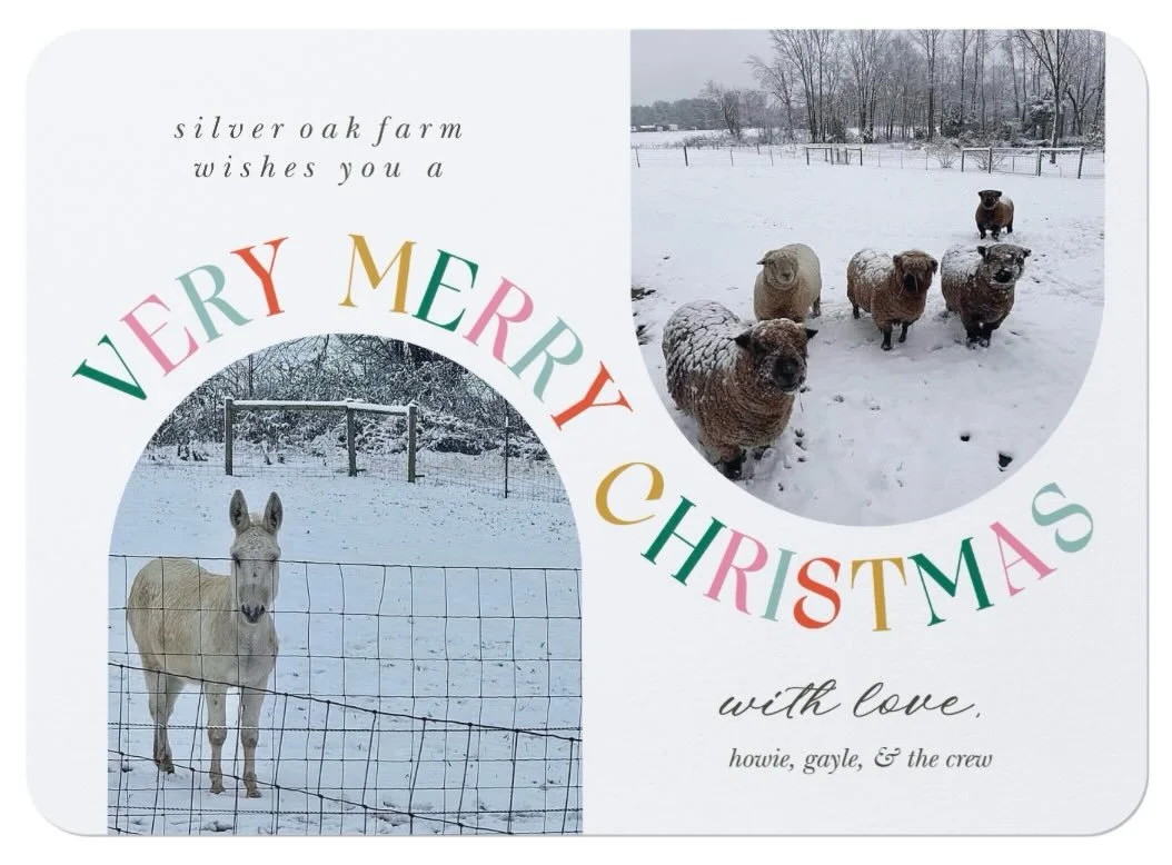 Merry Christmas. 🎄 May all your dreams come true! #buildingsilveroakfarm #livingthedream #farmchristmas @pgcountyva @pgfarmersmarket @visitpetersburgva @vafarmbureau