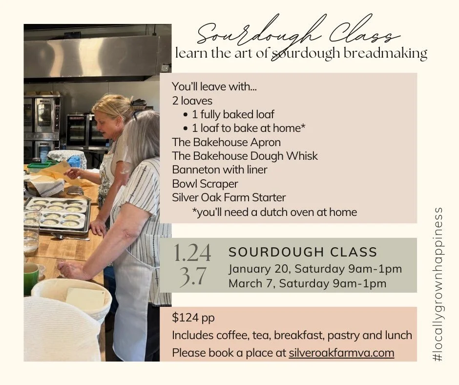 All the details for our upcoming Sourdough classes. We keep the numbers really small, just 6 people.  There are a few spots left so please don&rsquo;t pause on booking for too long if you are interested in any of them. #livingthedream #buildingsilver