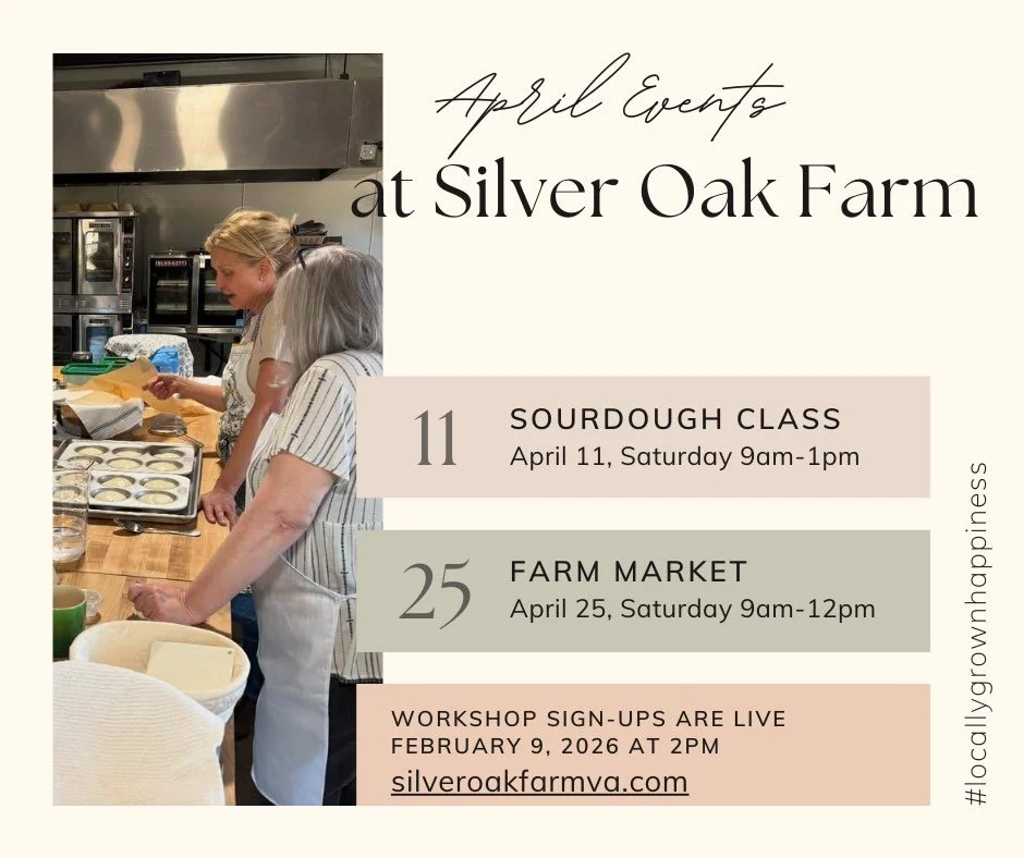 April Events at SOF. Check our calendar @silveroakfarmva.com for all upcoming events. Next Farm Market is February 21st 9-12. 🙏 for warmer weather. Hope to see you there! #buildingsilveroakfarm #farmmarket #livingthedream #farmlife @pgcountyva @pgfa