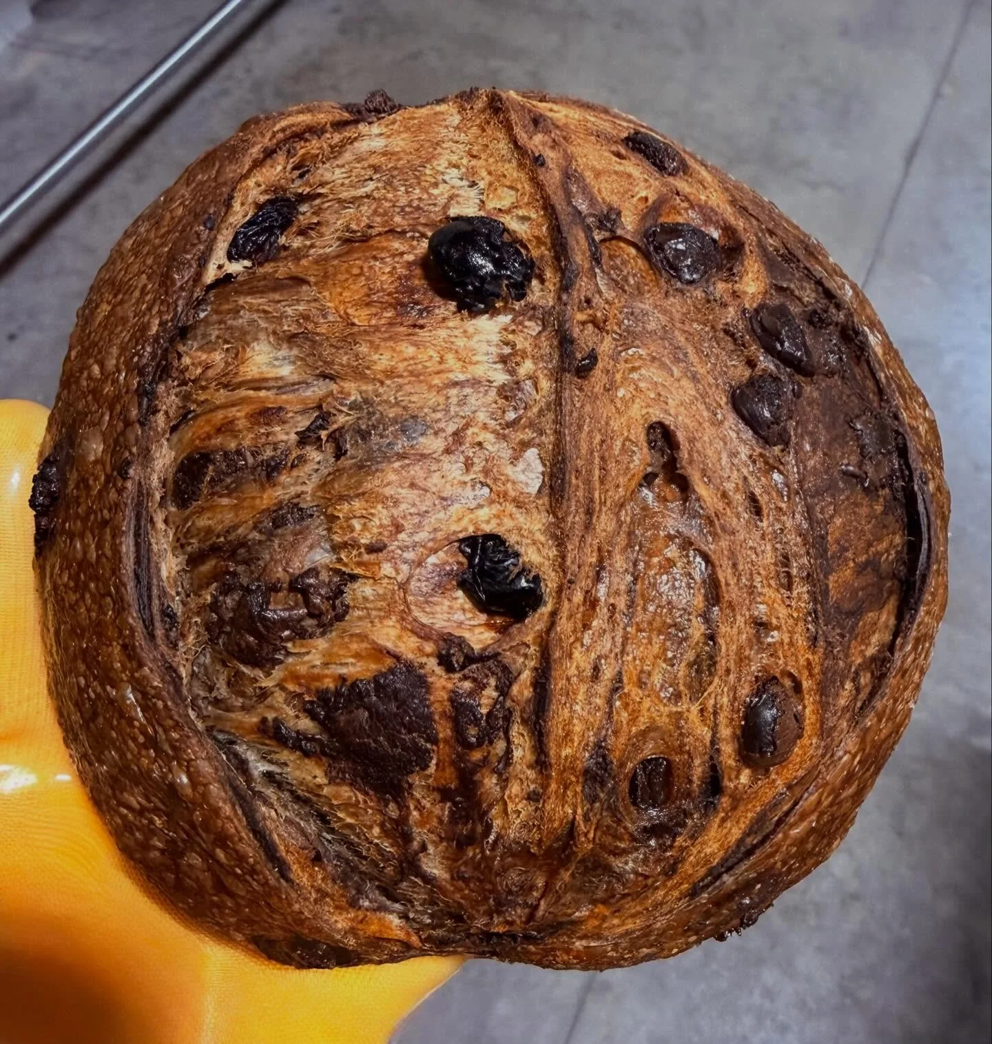 Double chocolate, cherry loaf, raspberry chocolate, scones, and Red Velvet Bundt cakes, dressed up for Valentine&rsquo;s Day. Pick one up for your sweetheart, or treat yourself! Available at @apothiccompany today. 💕#buildingsilveroakfarm #valentines
