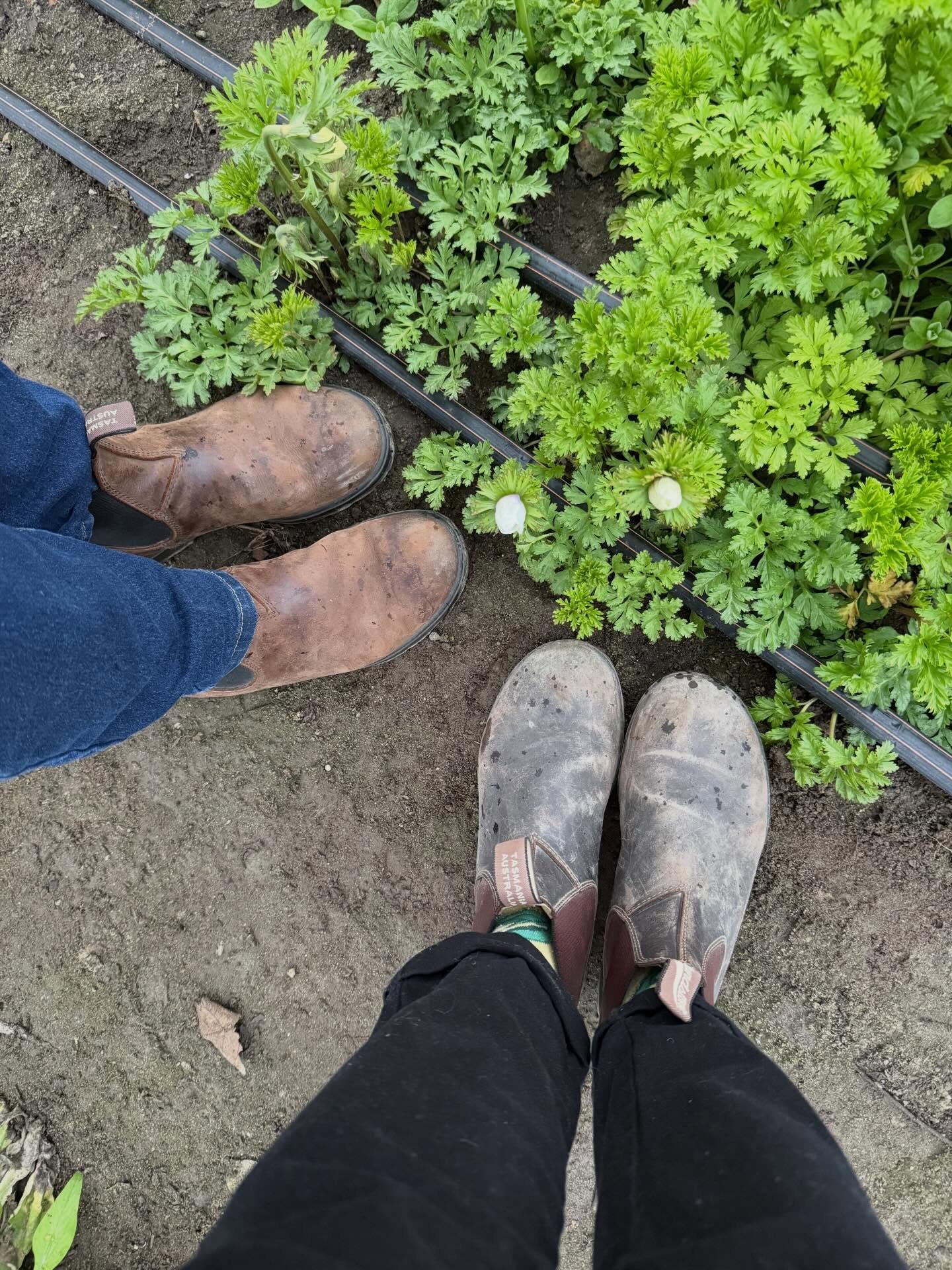 These farm boots are headed to the 2026 Farm Woman Lobby Day in RVA. ❤️ @grandmasbeads @vafarmbureau @pgcountyva @visitpetersburgva #flowerfarmers #farmer #womanfarmer #livingthedream