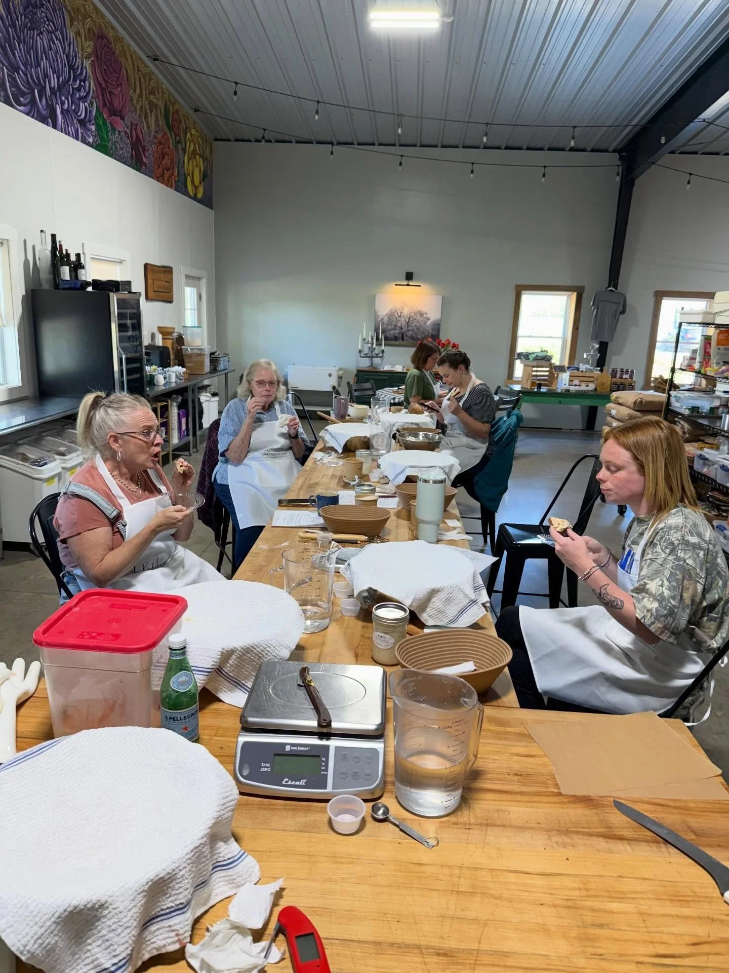 Sundays at SOF. Made some new friends and tasty sourdough at class on Saturday. The babies are enjoying the spring weather. Wilma is sitting on her eggs and Fred is a good protector. And just like that tulip season has come and gone. Thanks to all wh