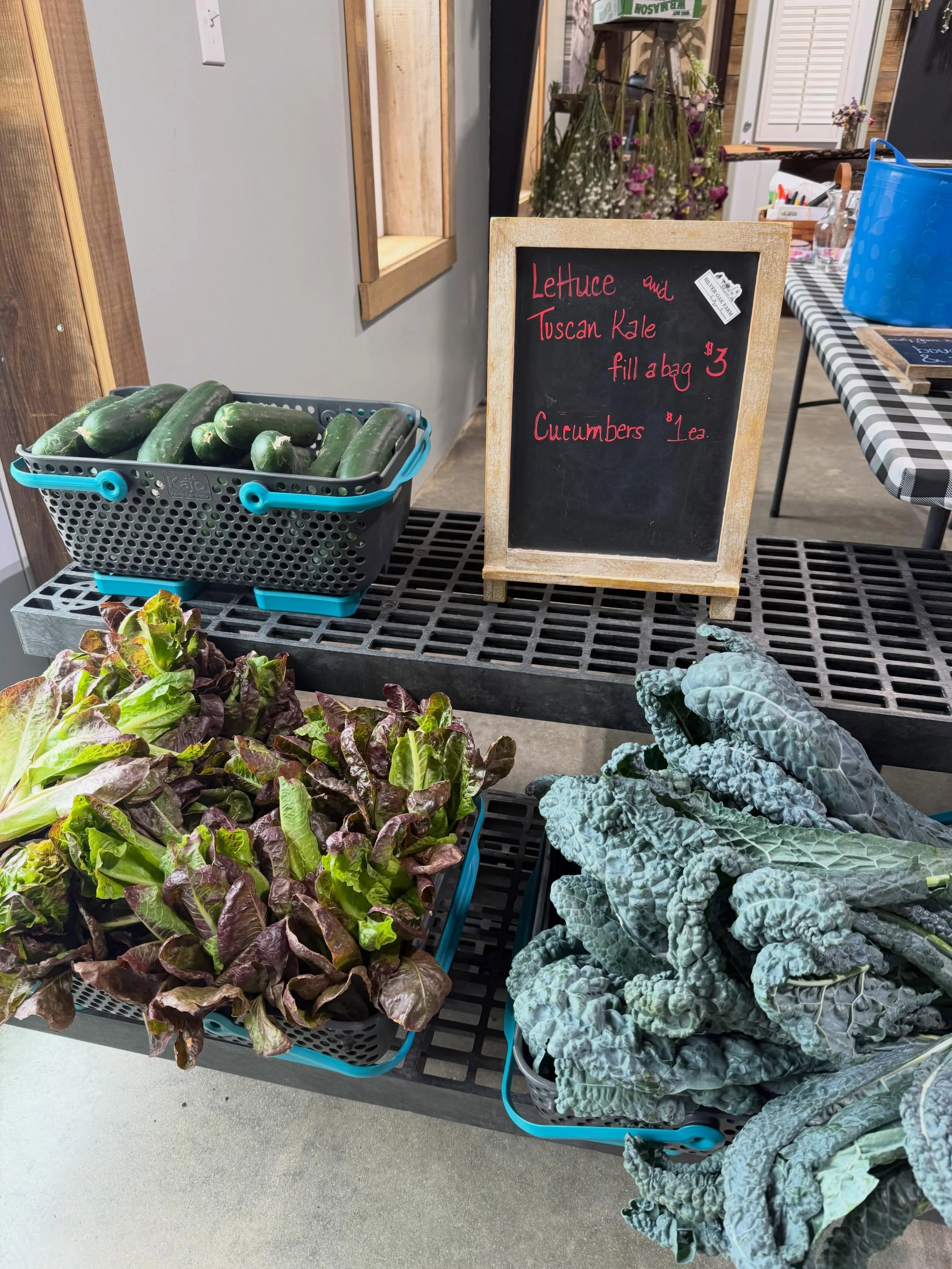 We&rsquo;re here 10-12pm. Grab some fresh picked produce and a beautiful bouquet to brighten your day! 🌸🥒 @pgcountyva @visitpetersburgva @vafarmbureau @virginiafarmersmarkets @silver.oak.farm