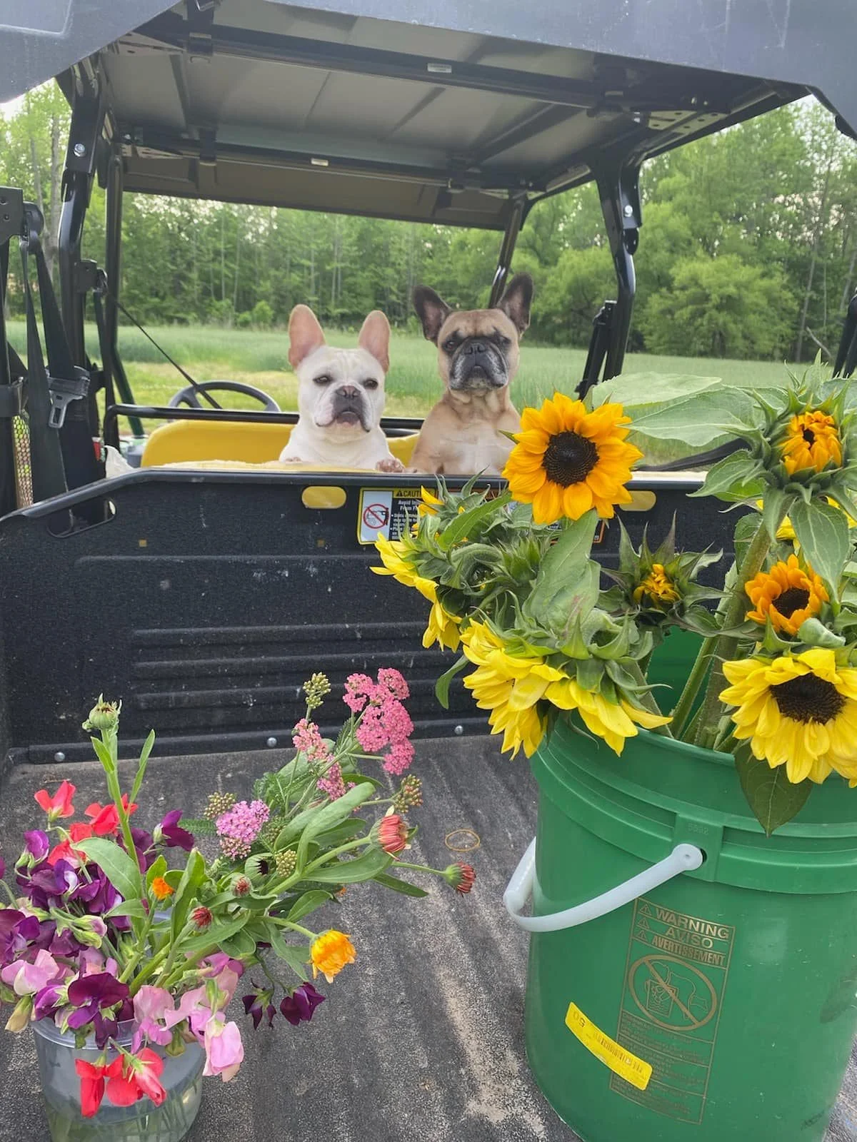 The Animals Silver Oak Farm Virginia 