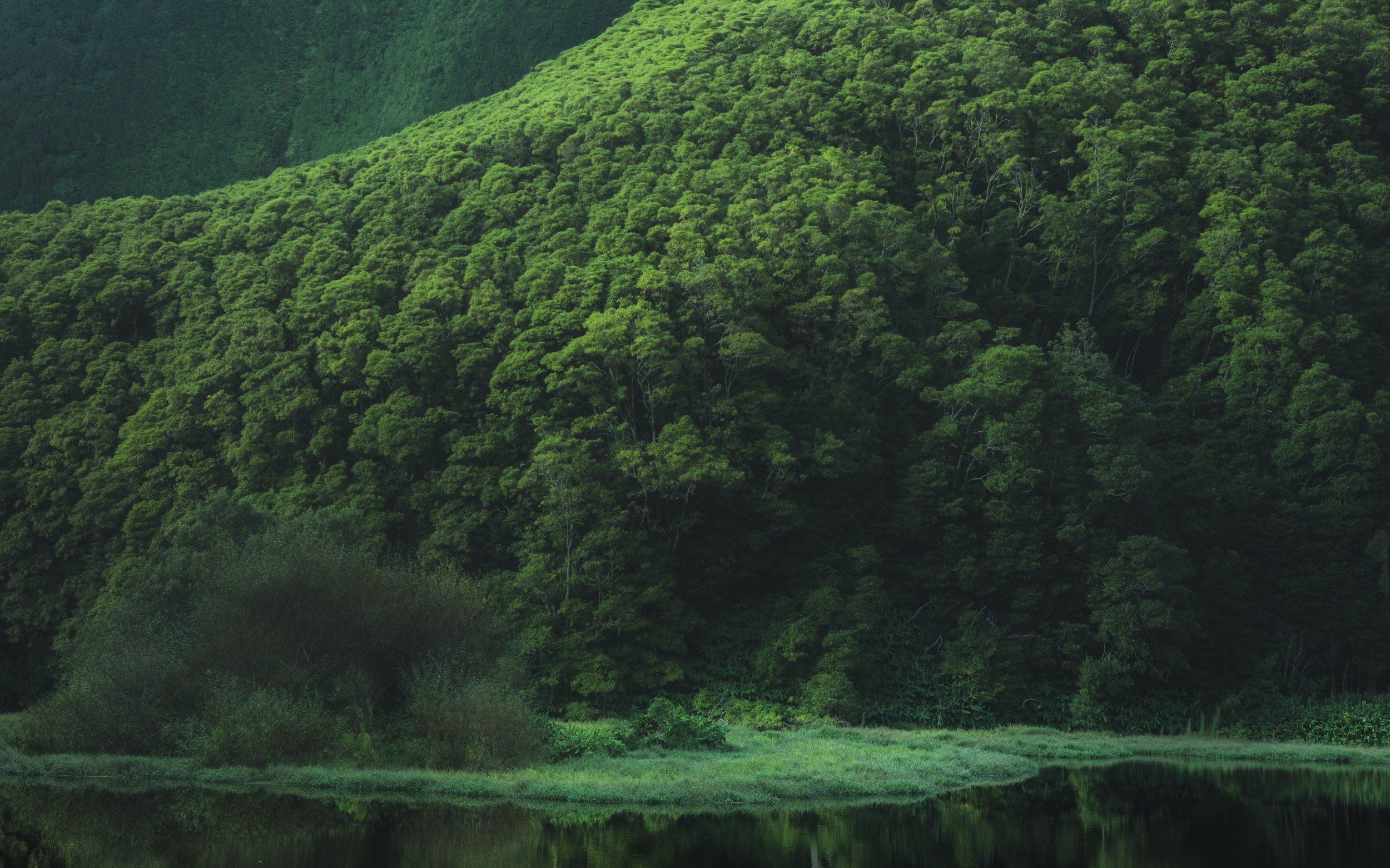 Sebastiaan Rodenhuis Fotografie - Portugal Azxoren Oktober 2025 -3.JPG