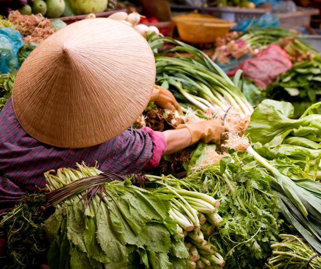 Vendor in a conical hat sorting fresh greens at a Vietnamese market