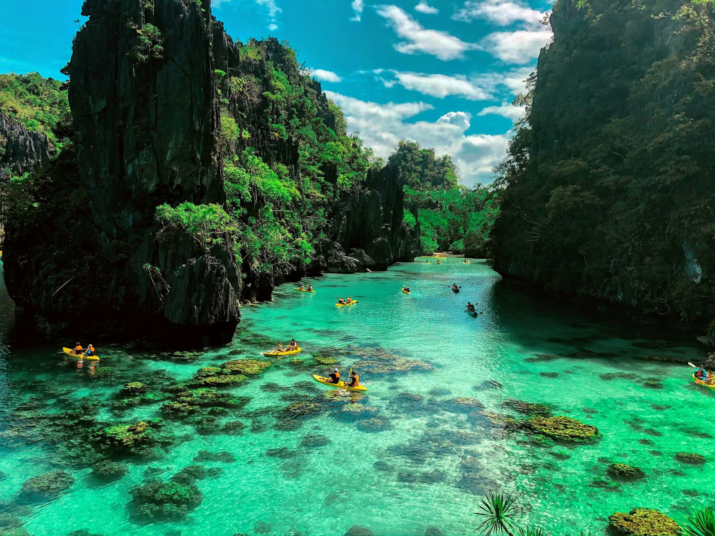 unsplash-image-wrHnE3kMplg.jpg
