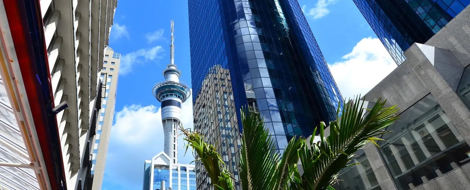 aukland city.jpeg